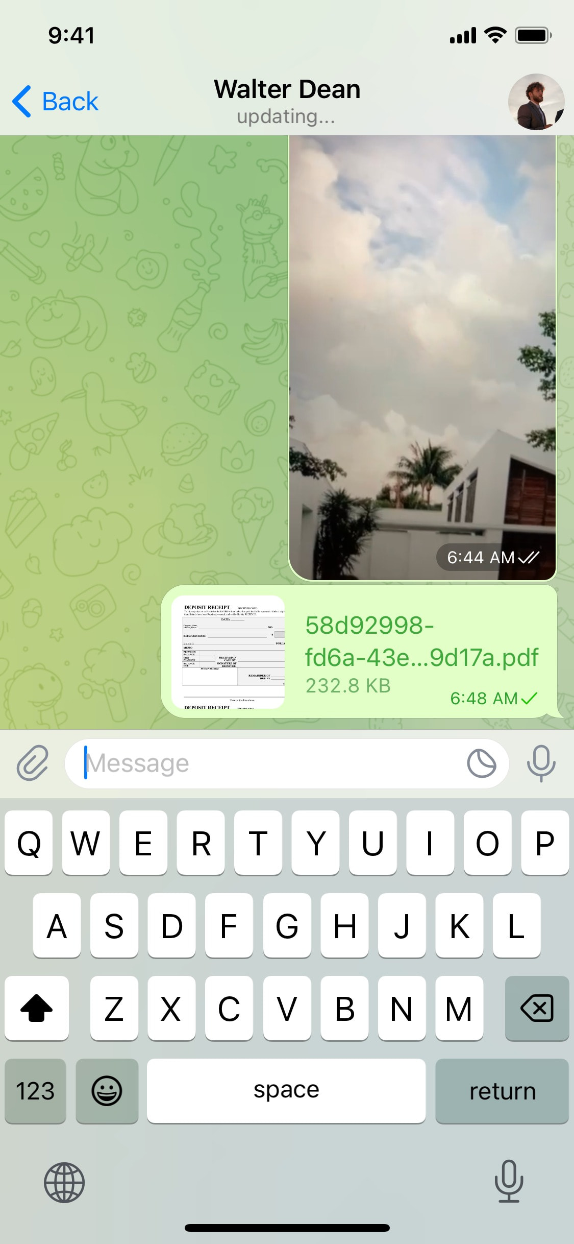 Telegram iOS screen 356