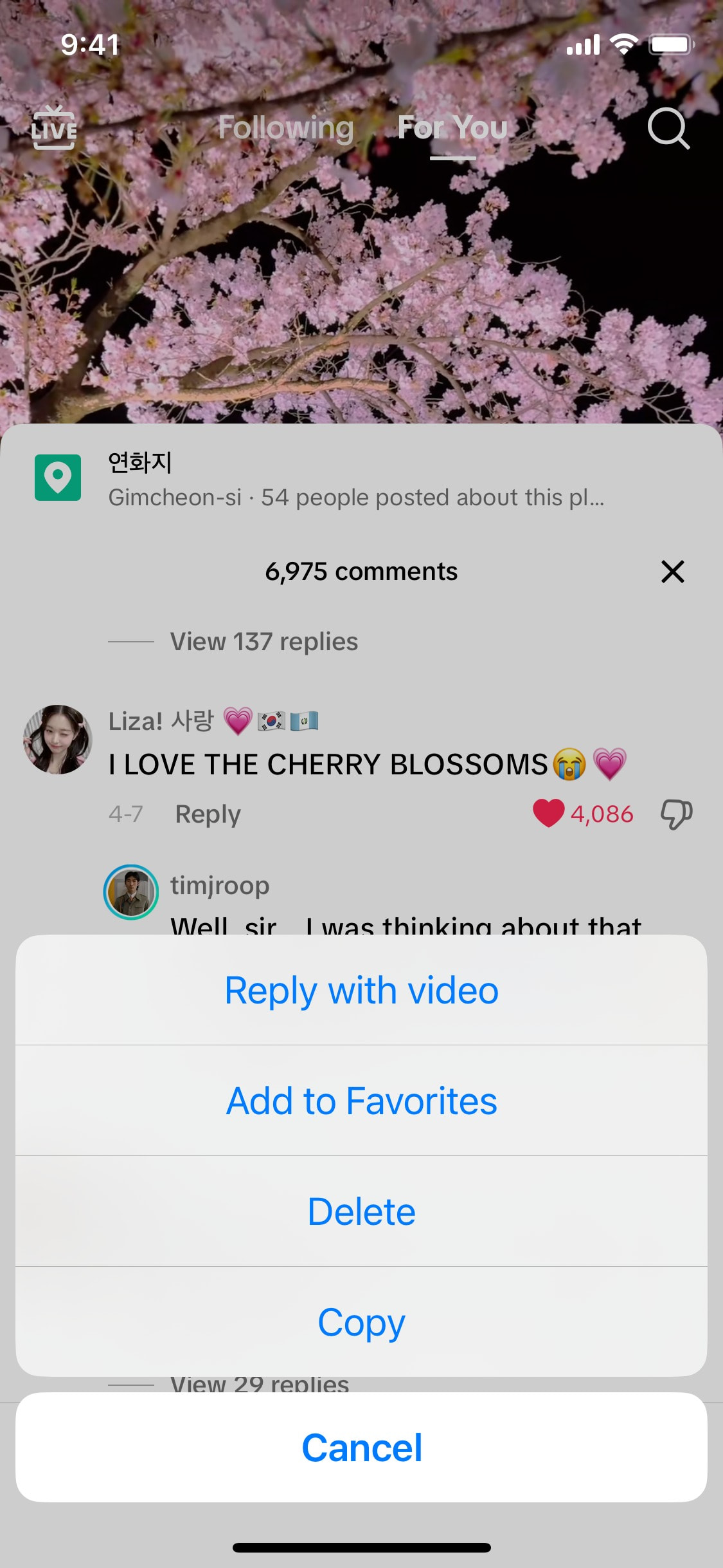 TikTok iOS screen 289