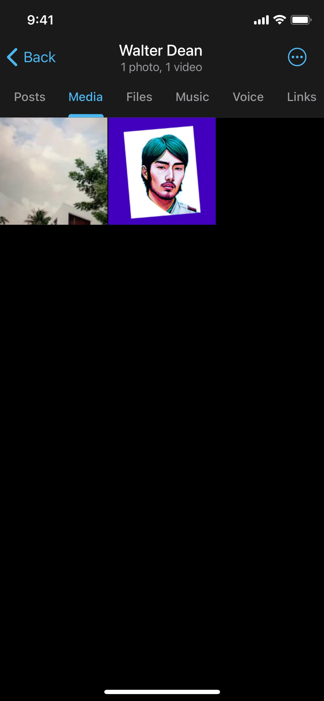 Telegram iOS screen 22