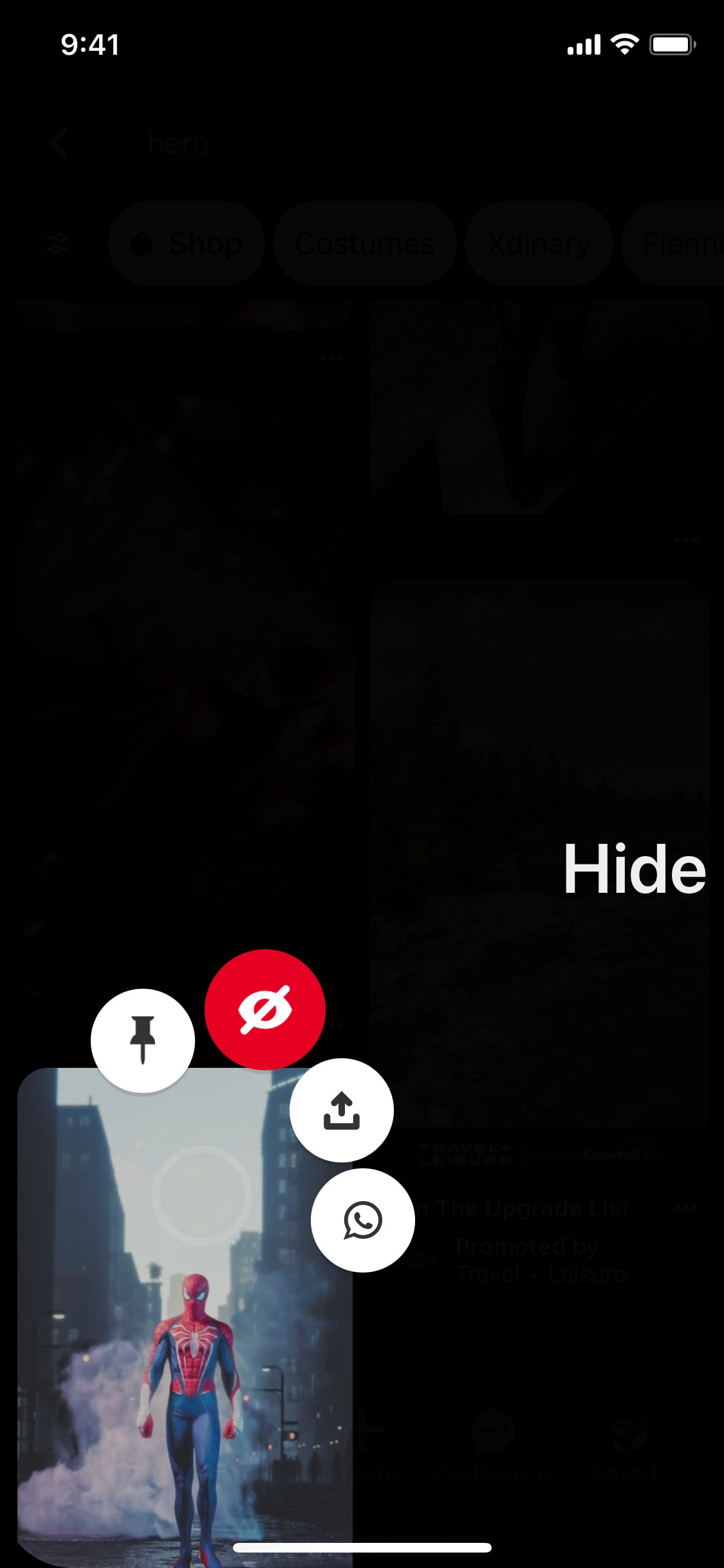 Pinterest iOS screen 116