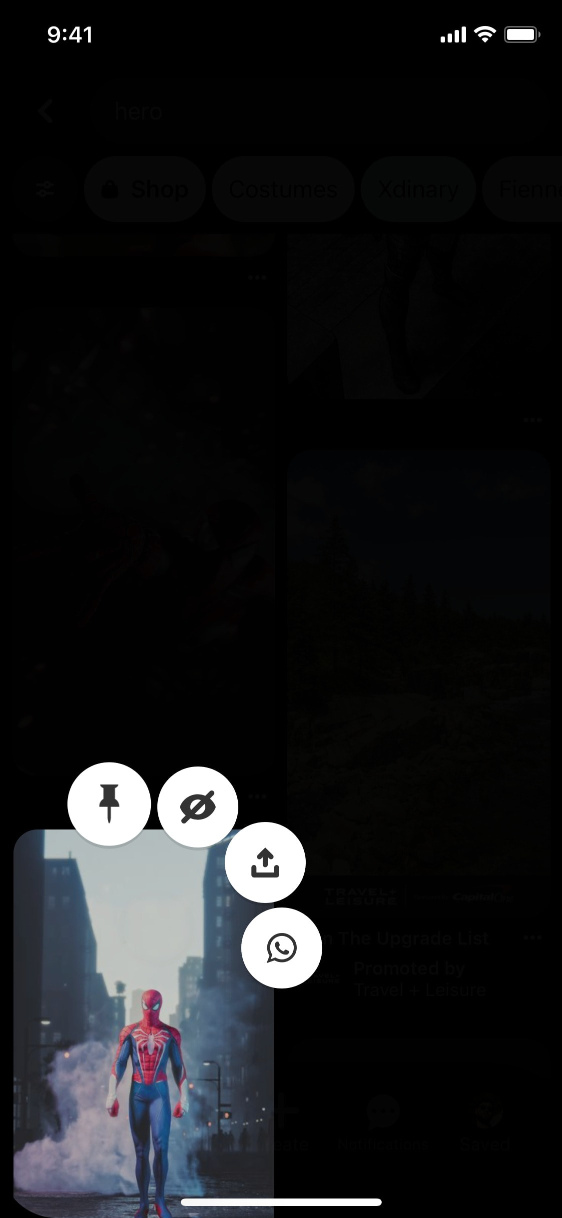 Pinterest iOS screen 215