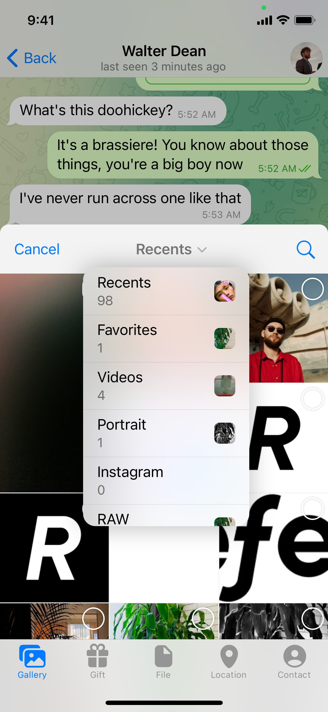 Telegram iOS screen 109