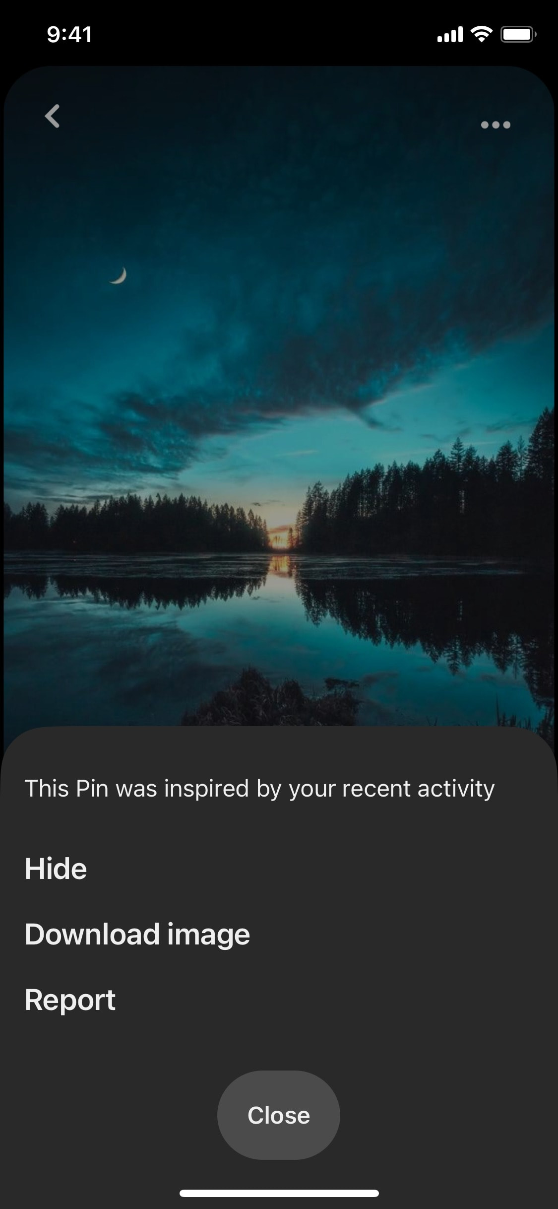 Pinterest iOS screen 301