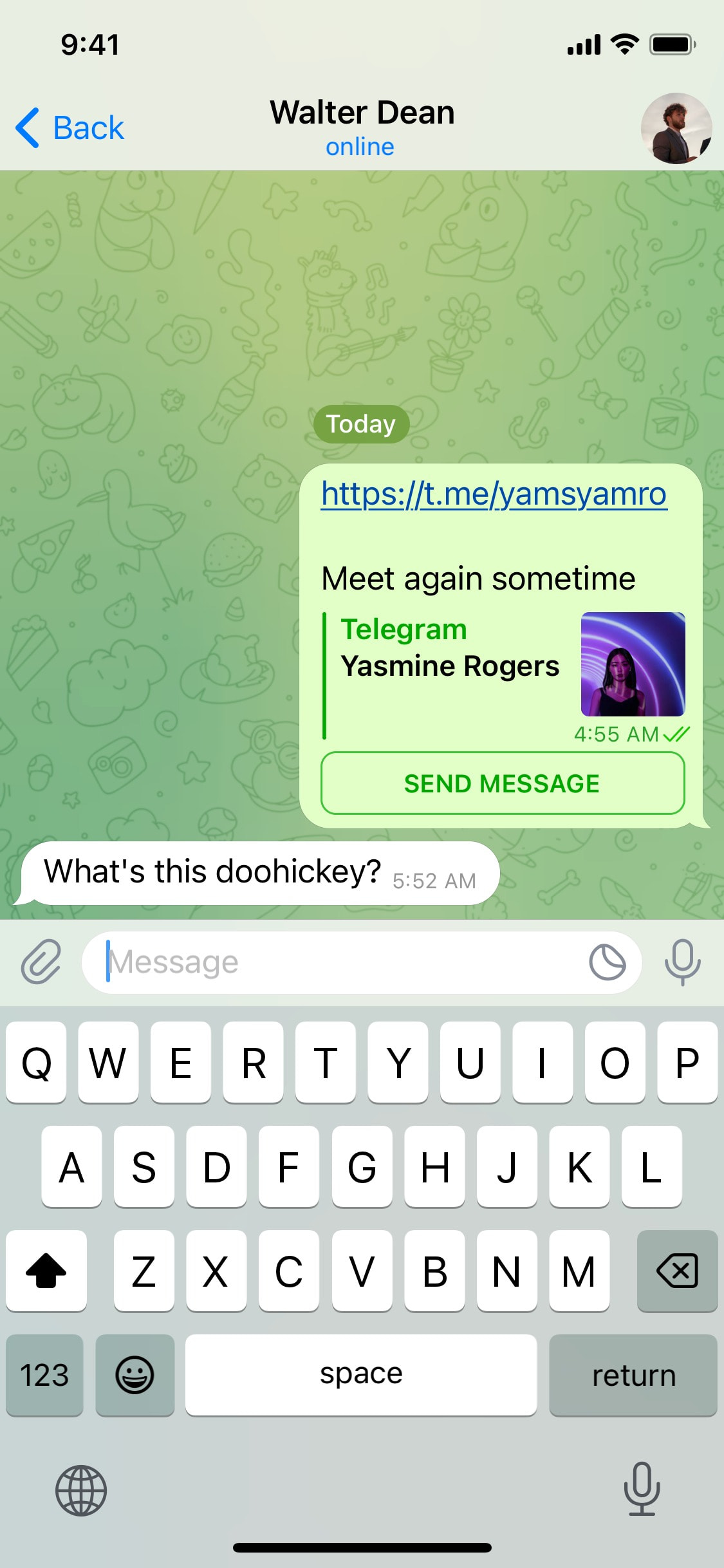 Telegram iOS screen 204