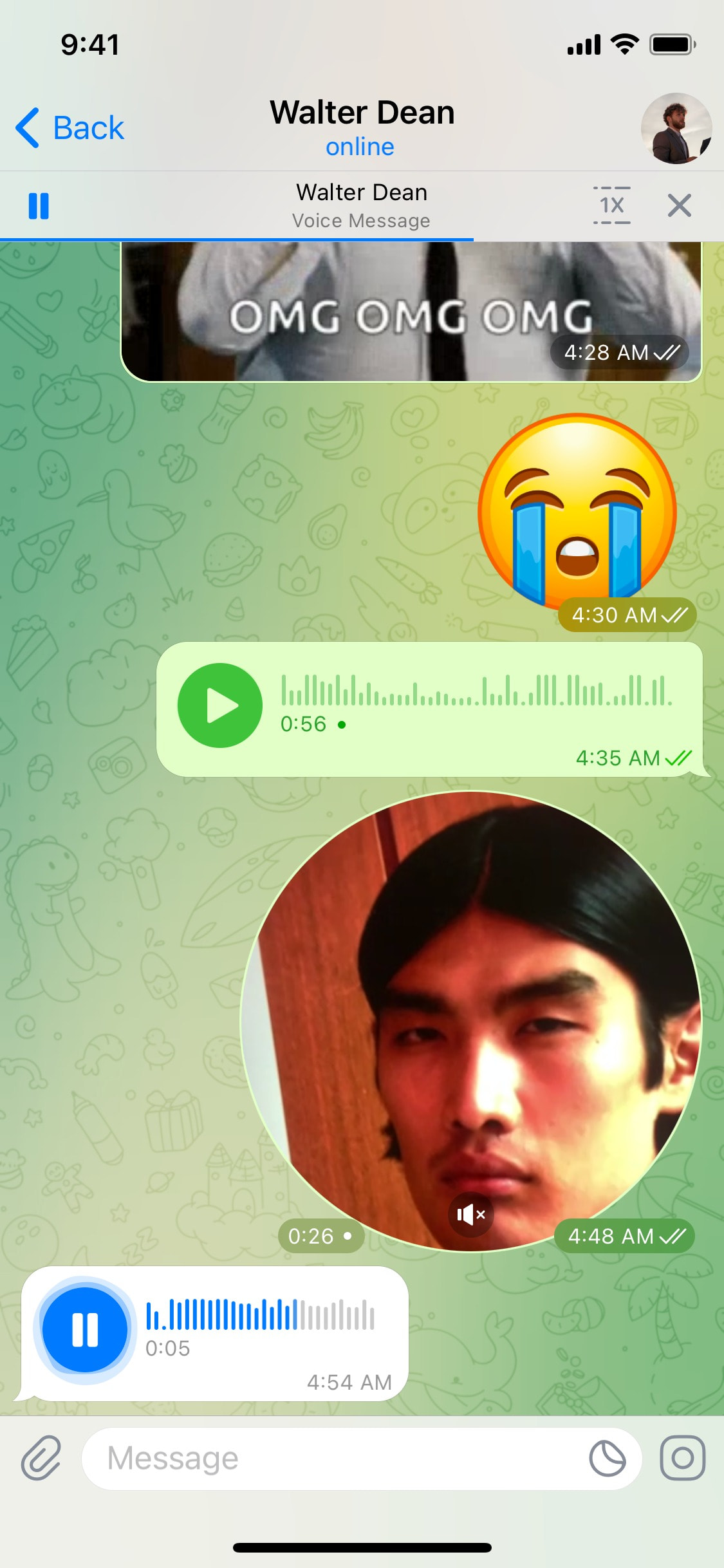 Telegram iOS screen 12