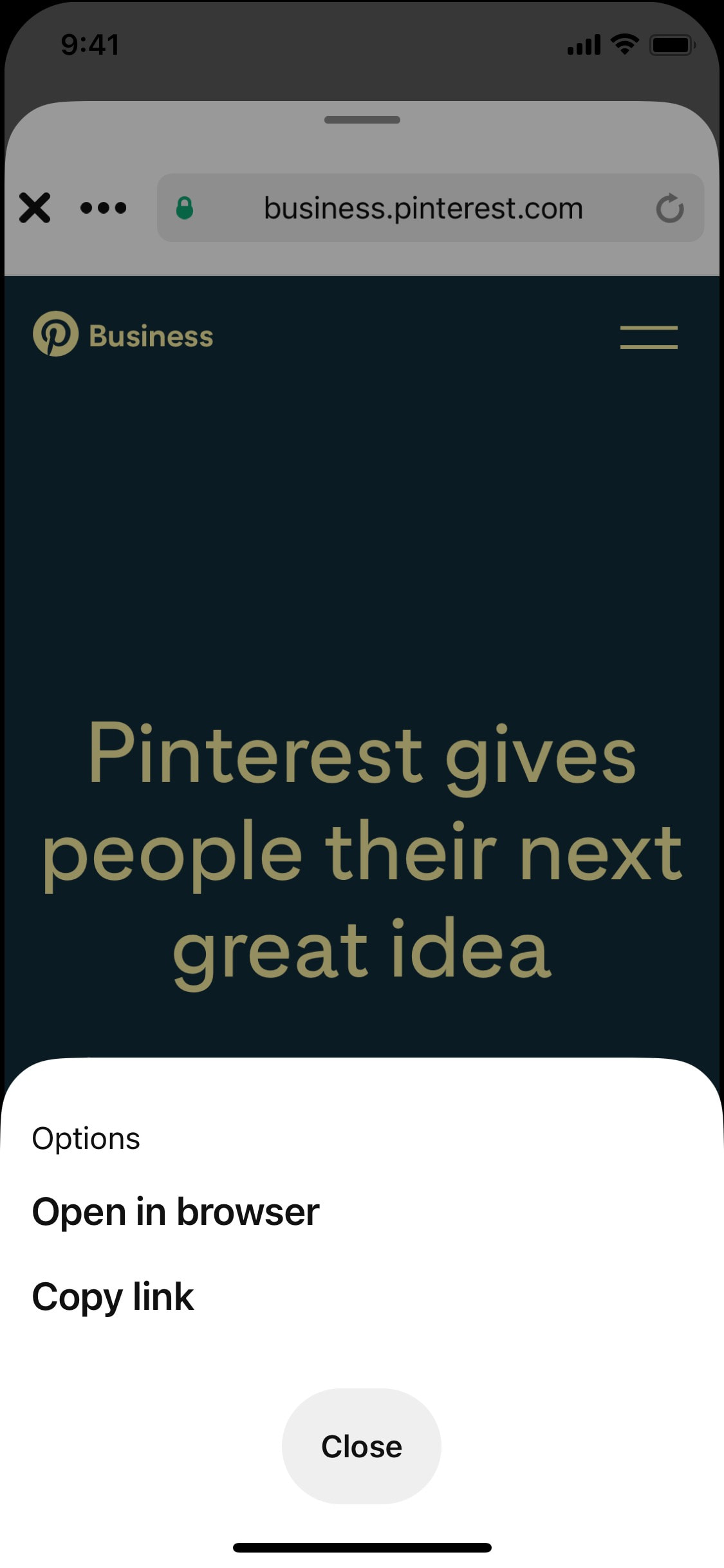 Pinterest iOS screen 114
