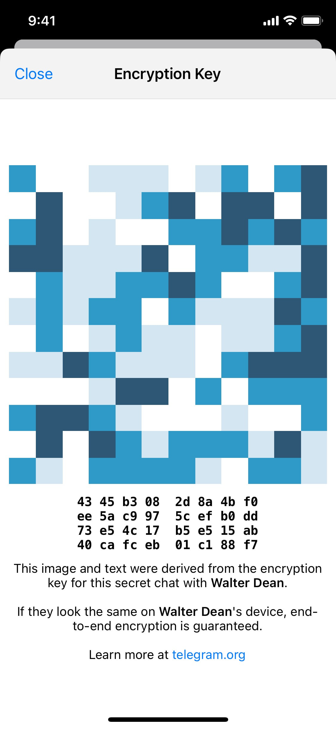 Telegram iOS screen 505