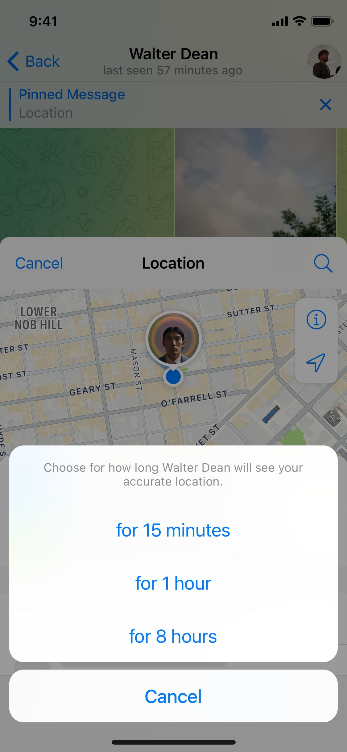 Telegram iOS screen 861
