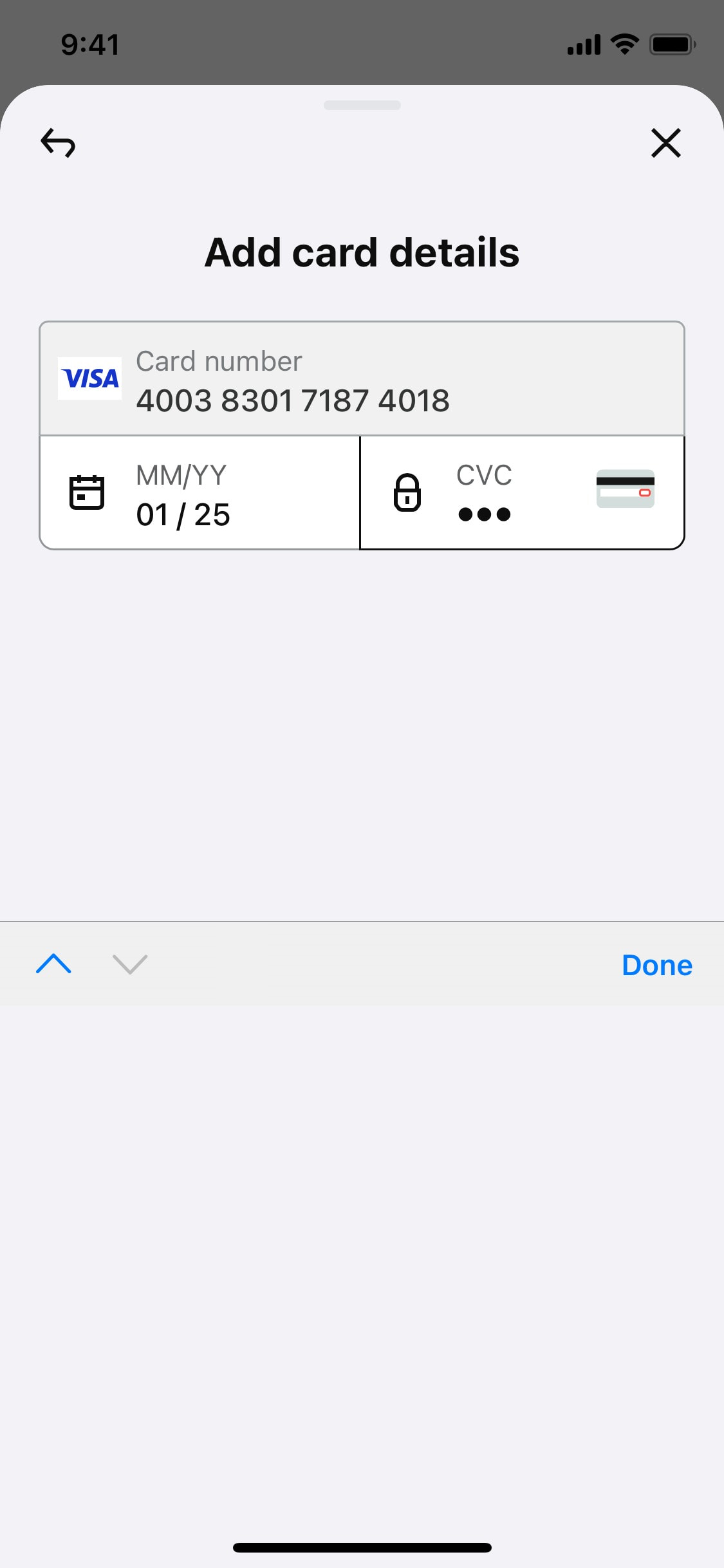 Klarna iOS screen 198