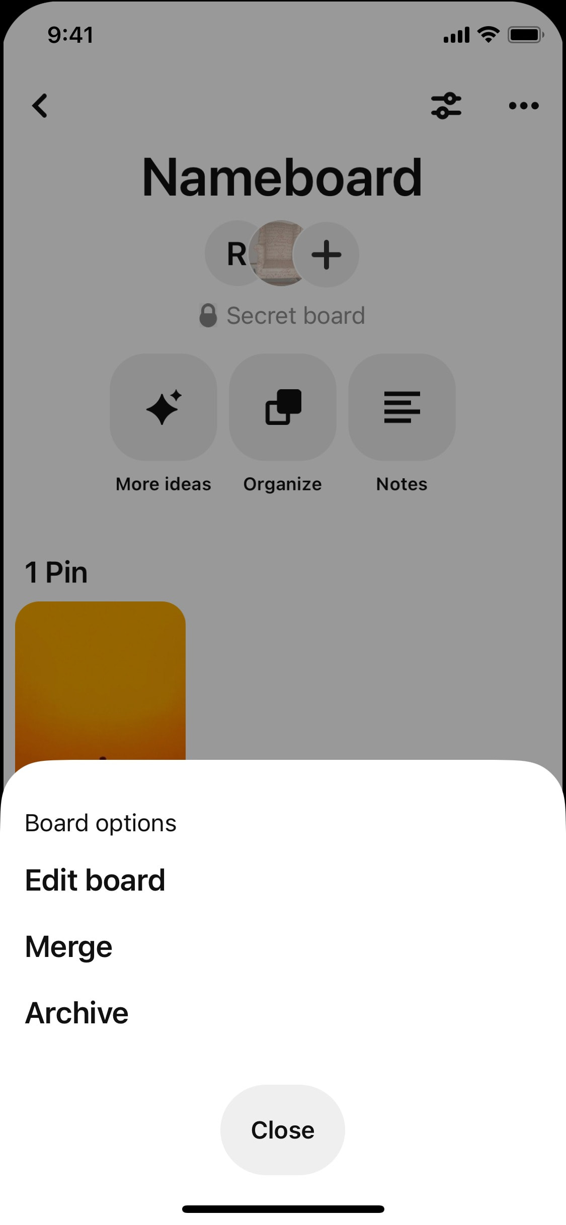 Pinterest iOS screen 397