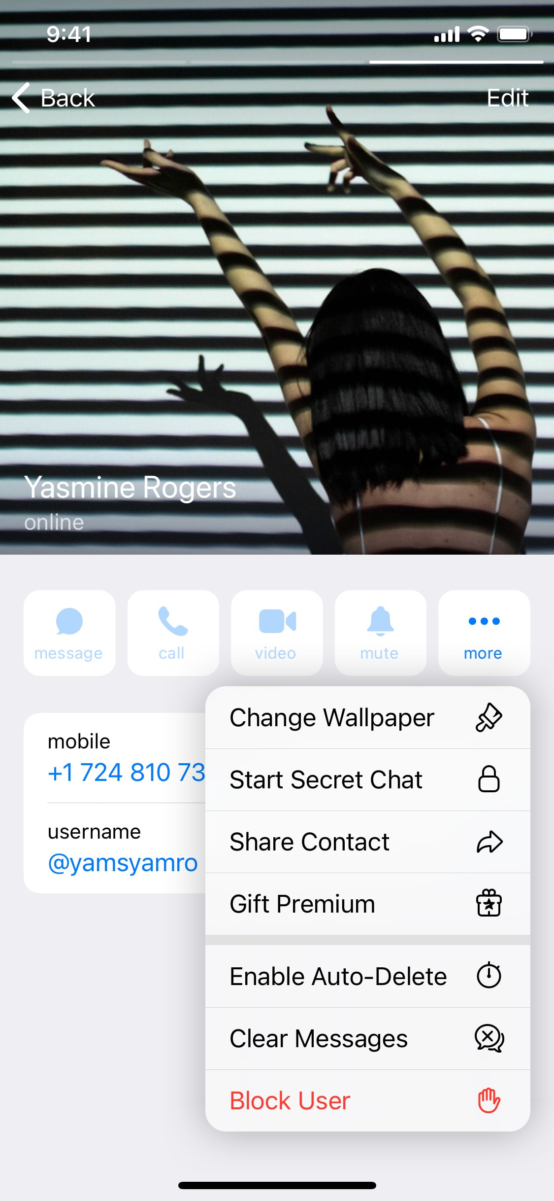 Telegram iOS screen 146
