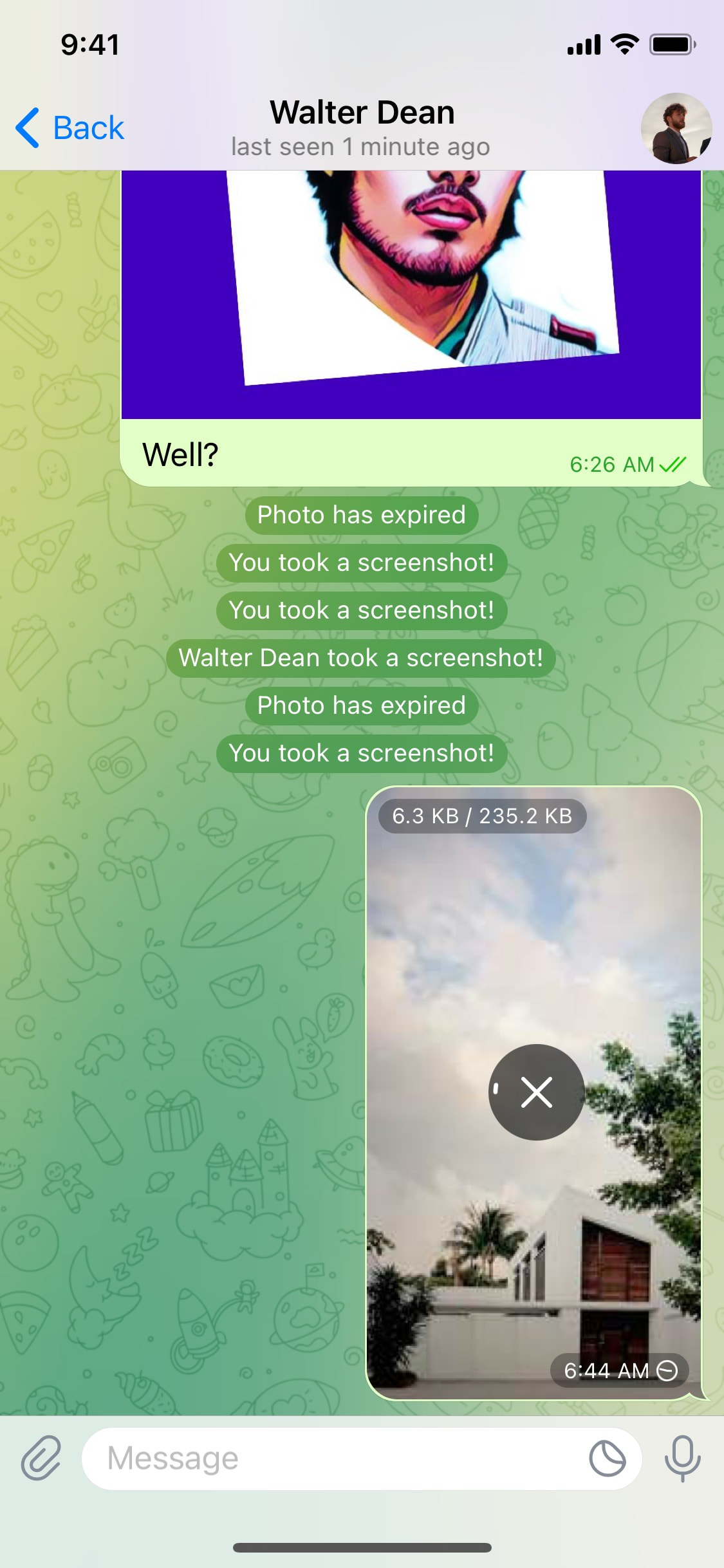 Telegram iOS screen 758