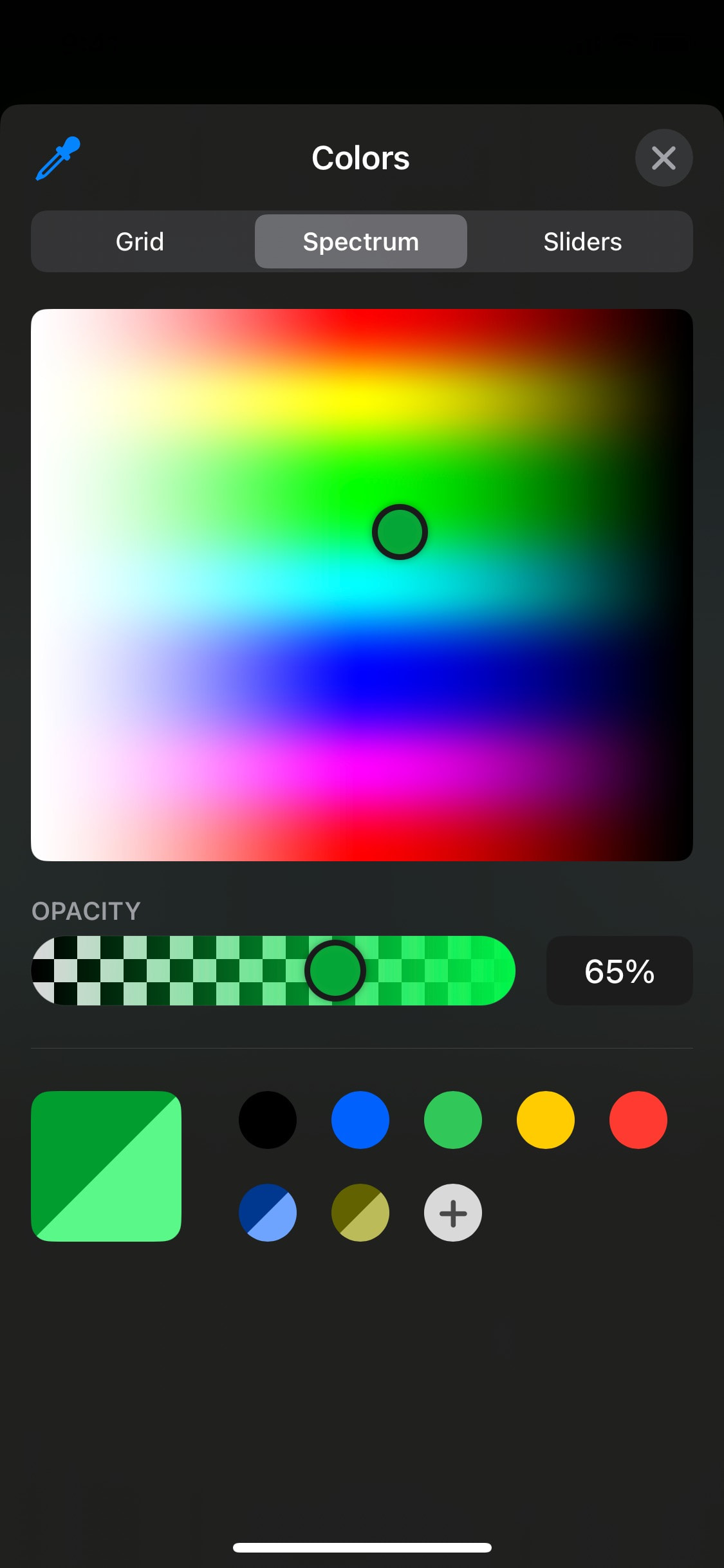 Shopify iOS screen 13