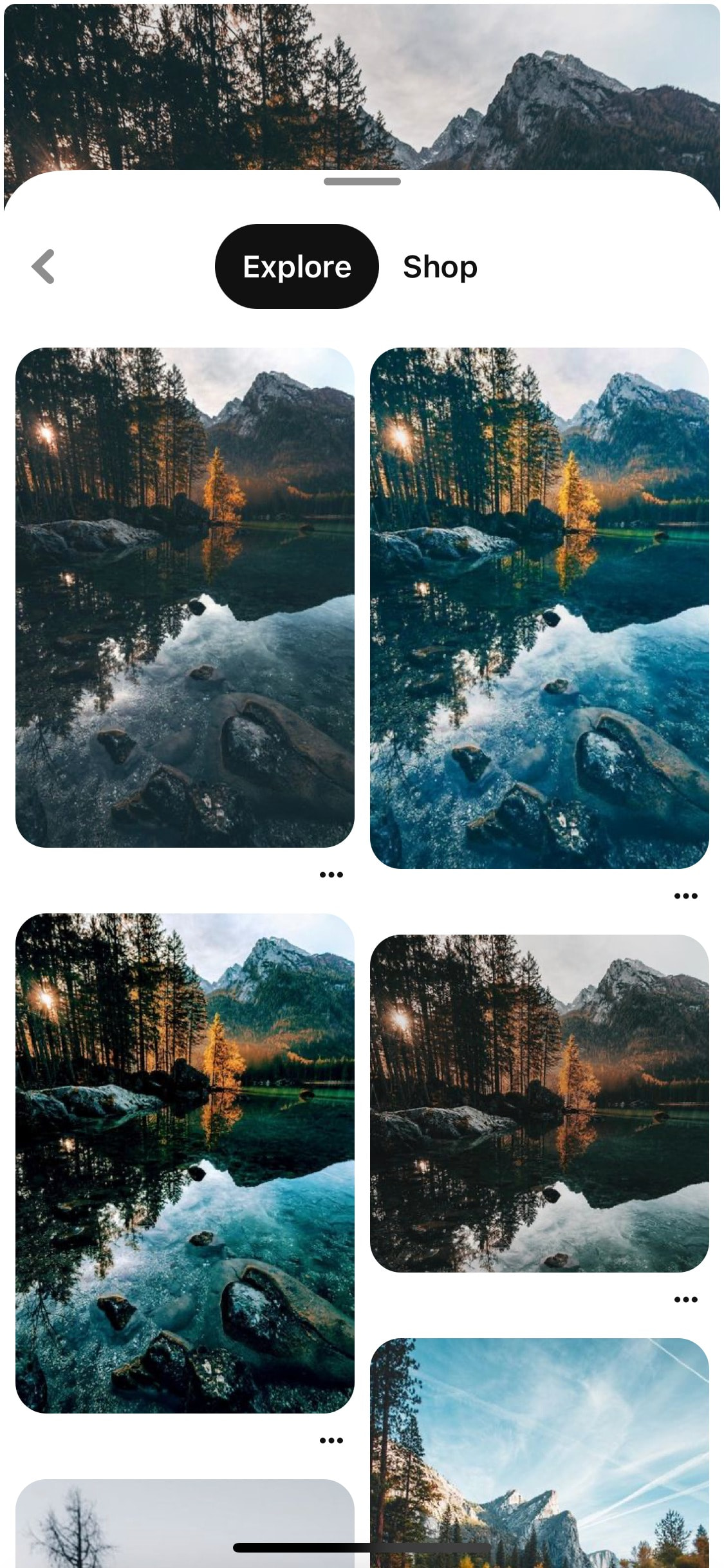 Pinterest iOS screen 315