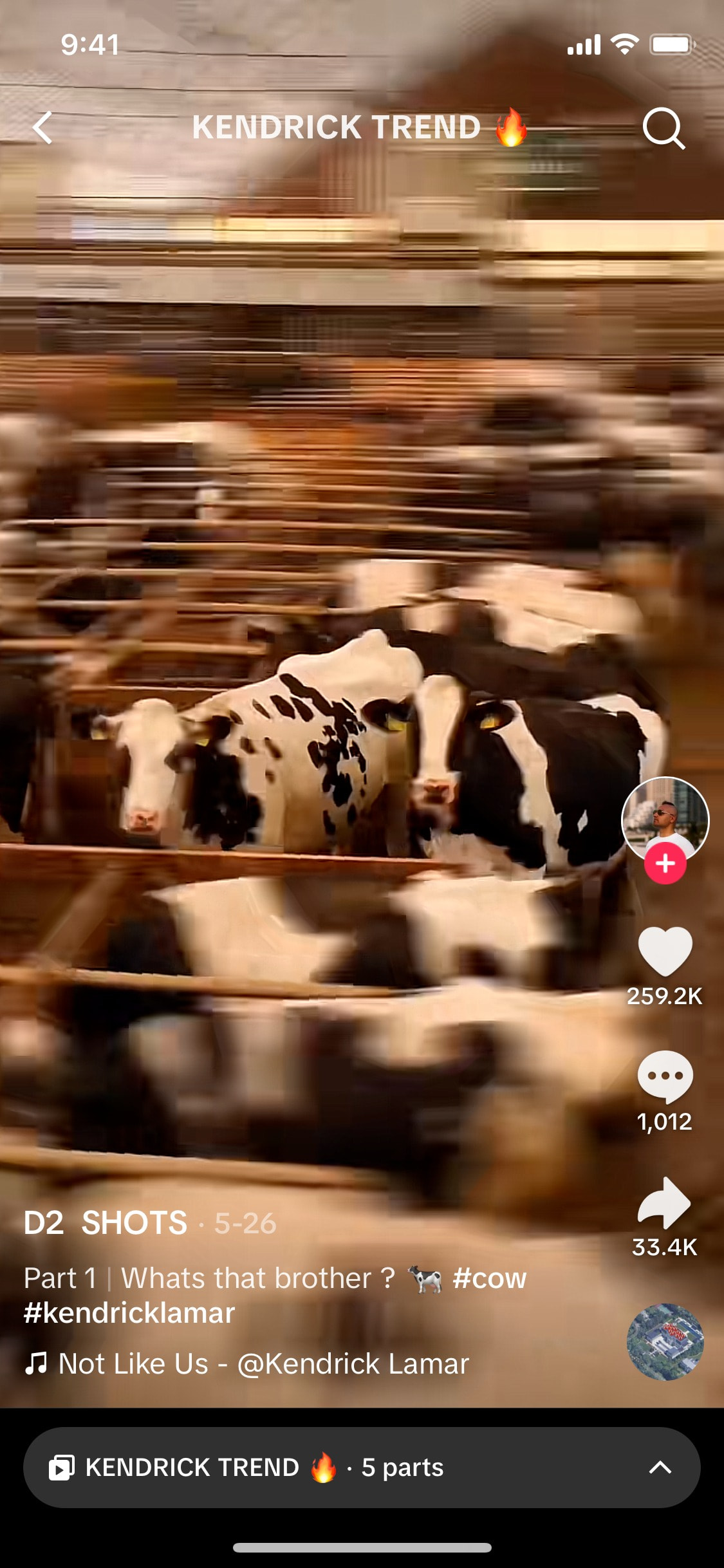 TikTok iOS screen 178