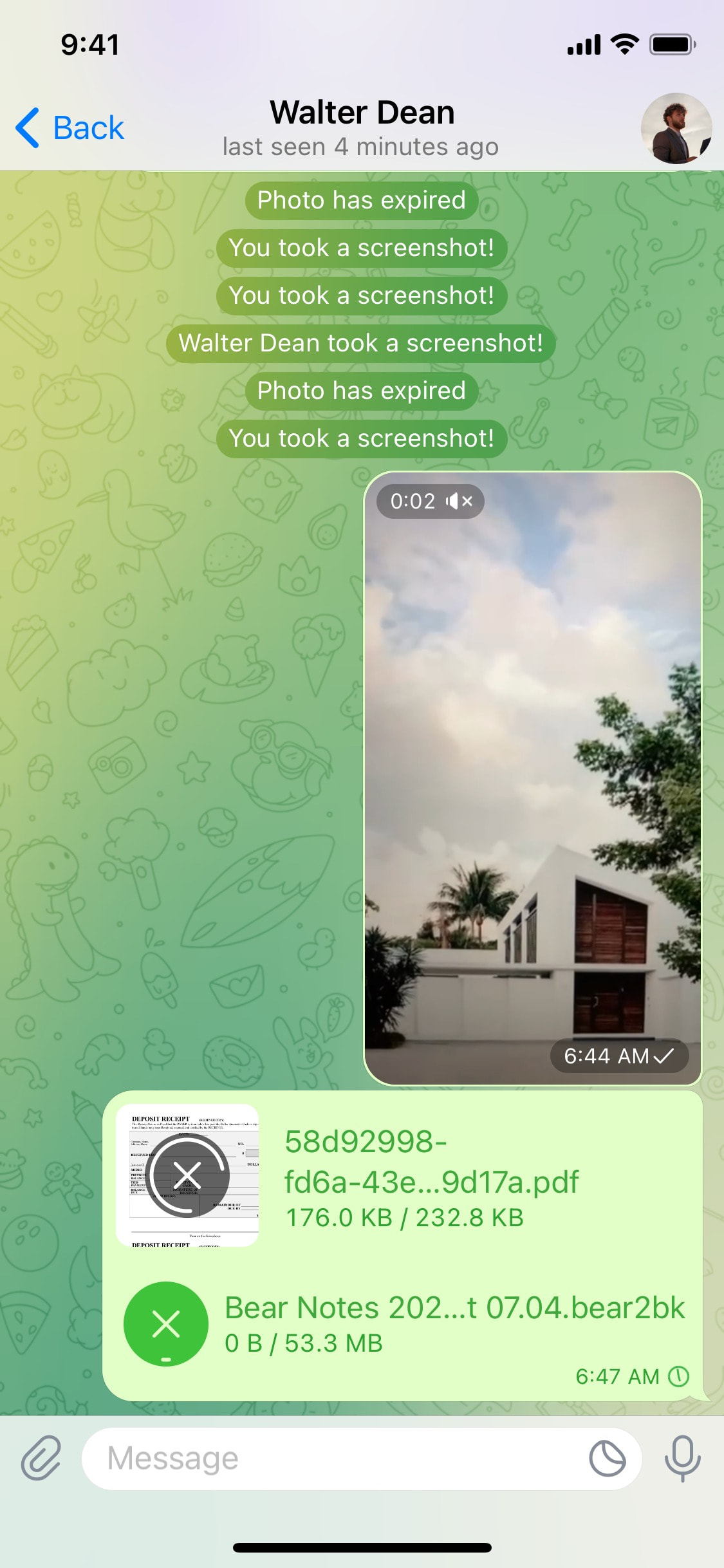 Telegram iOS screen 780