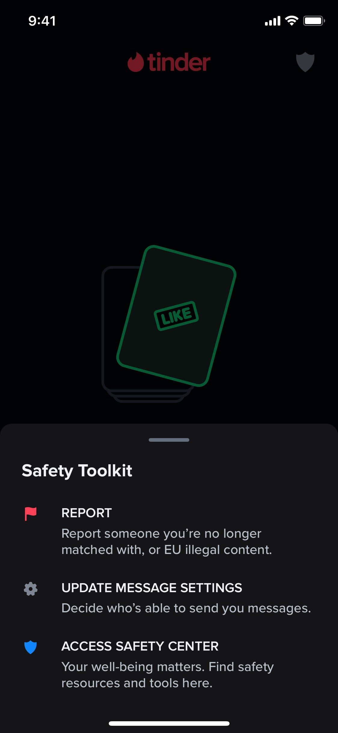 Tinder iOS screen 69