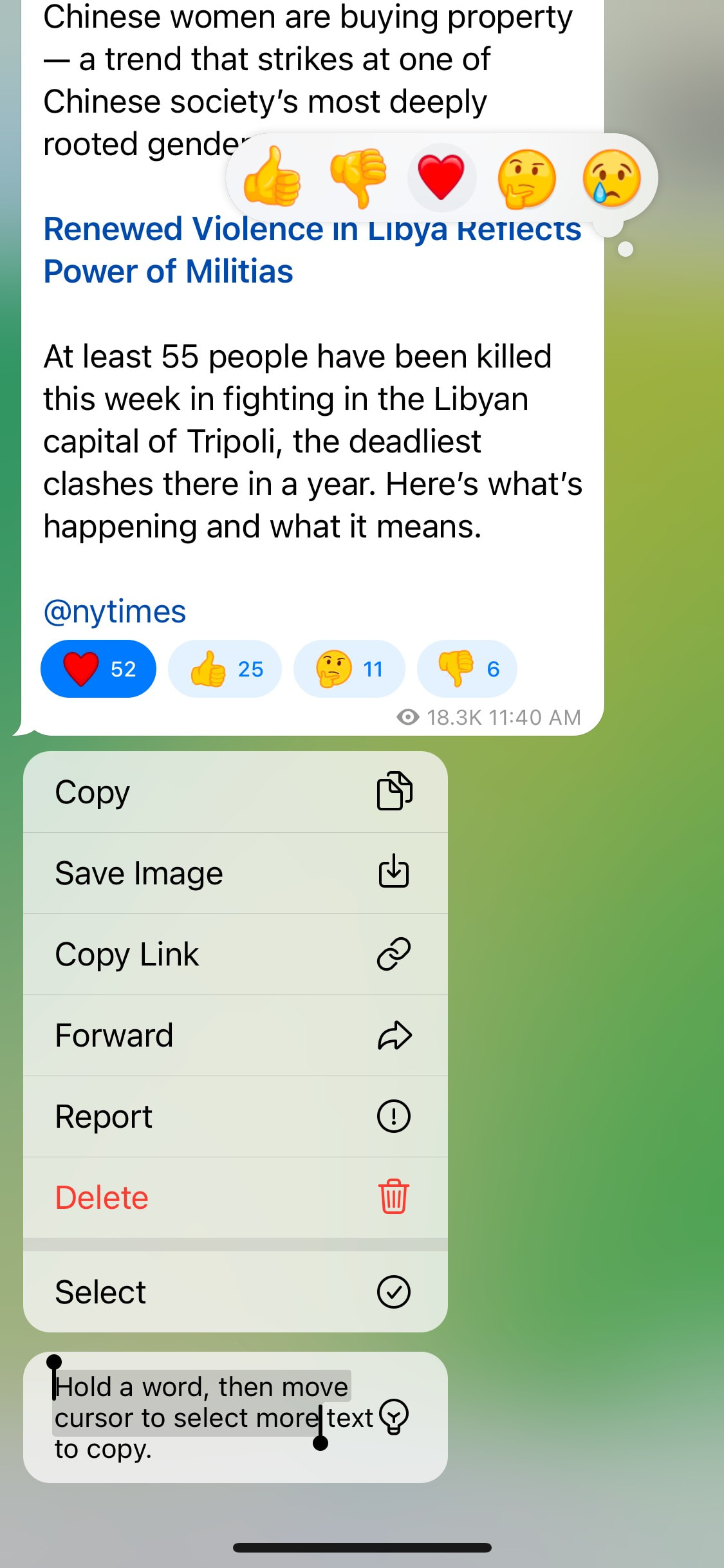 Telegram iOS screen 412