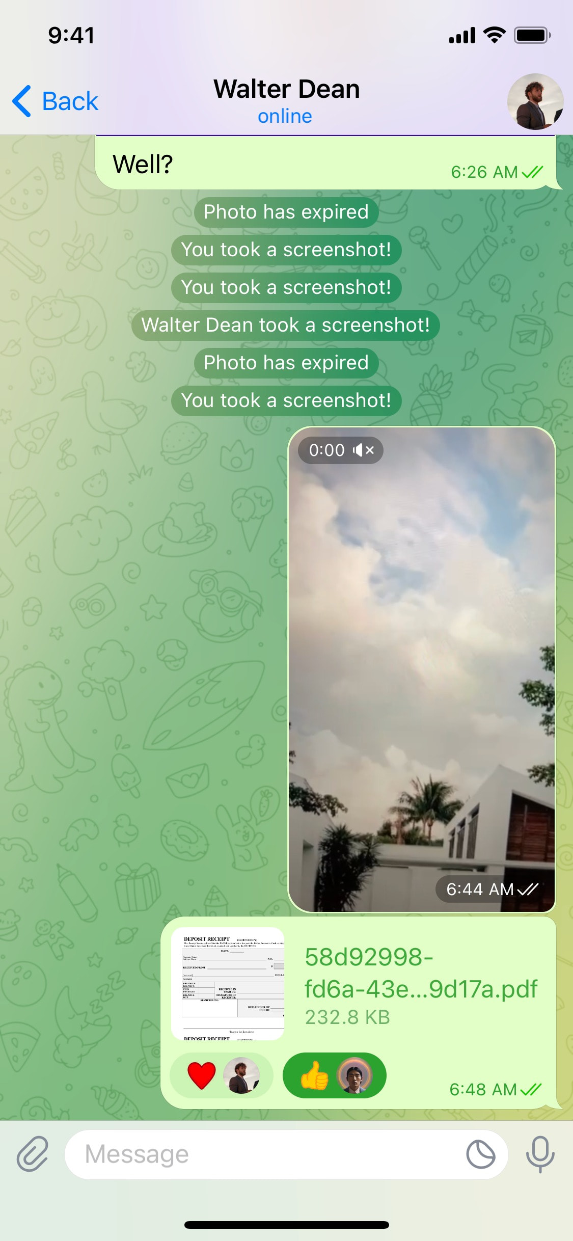 Telegram iOS screen 84