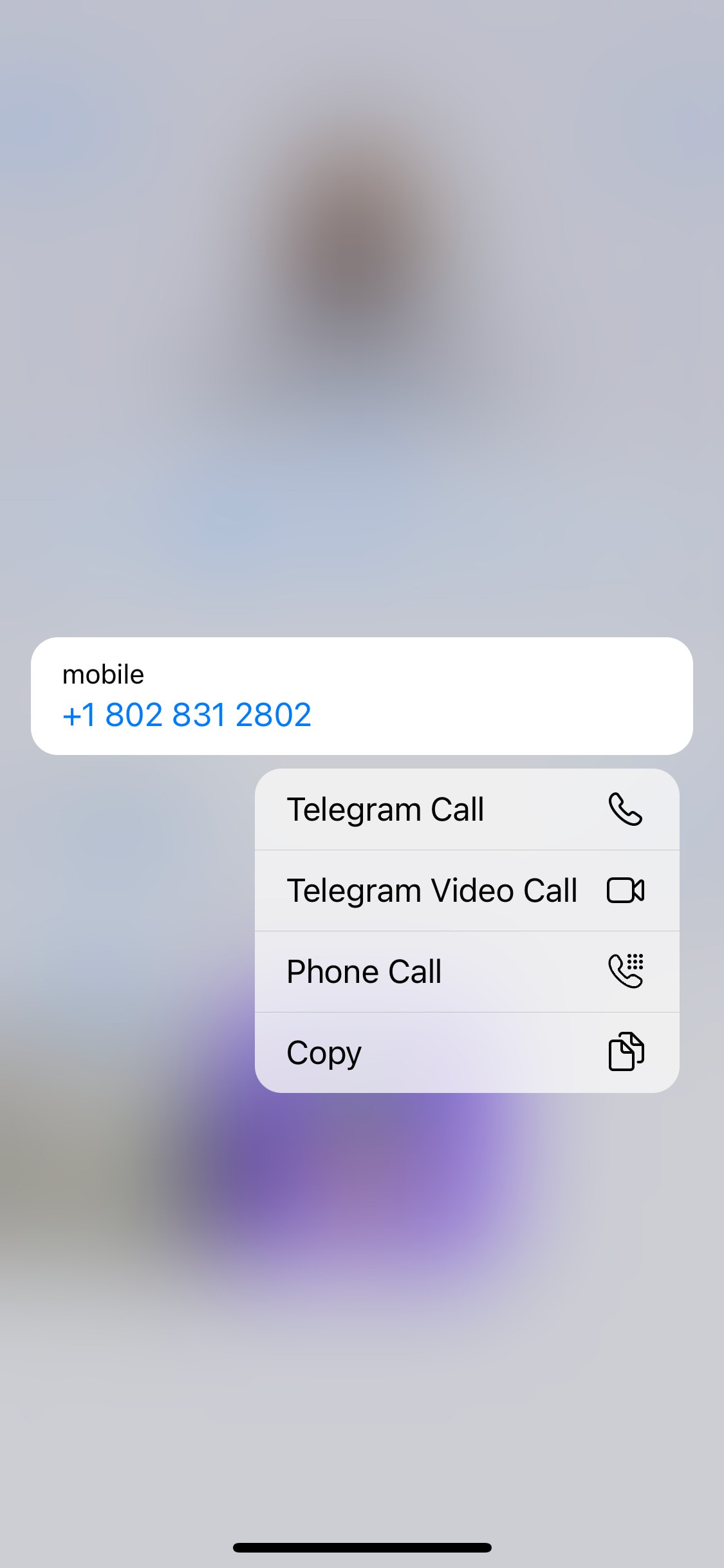 Telegram iOS screen 99