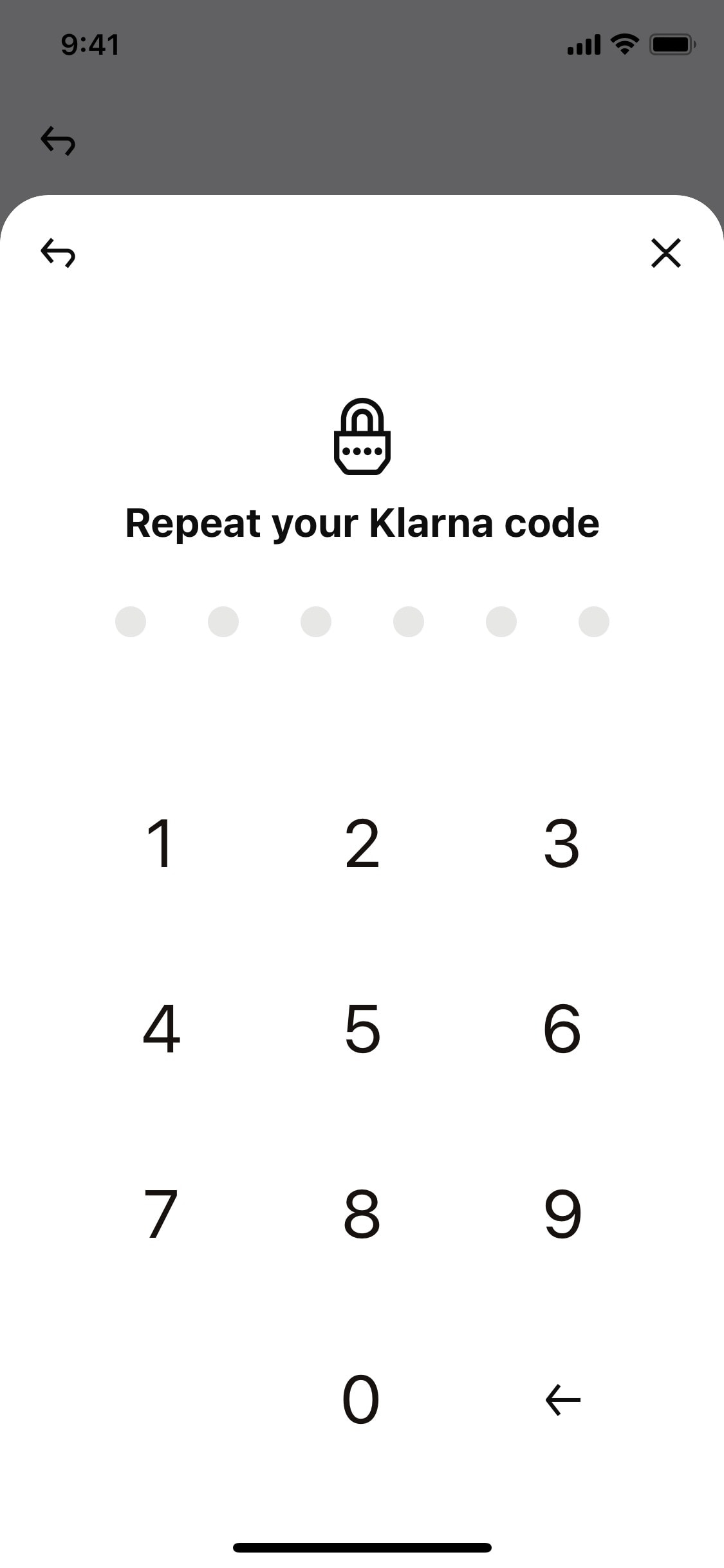 Klarna iOS screen 564