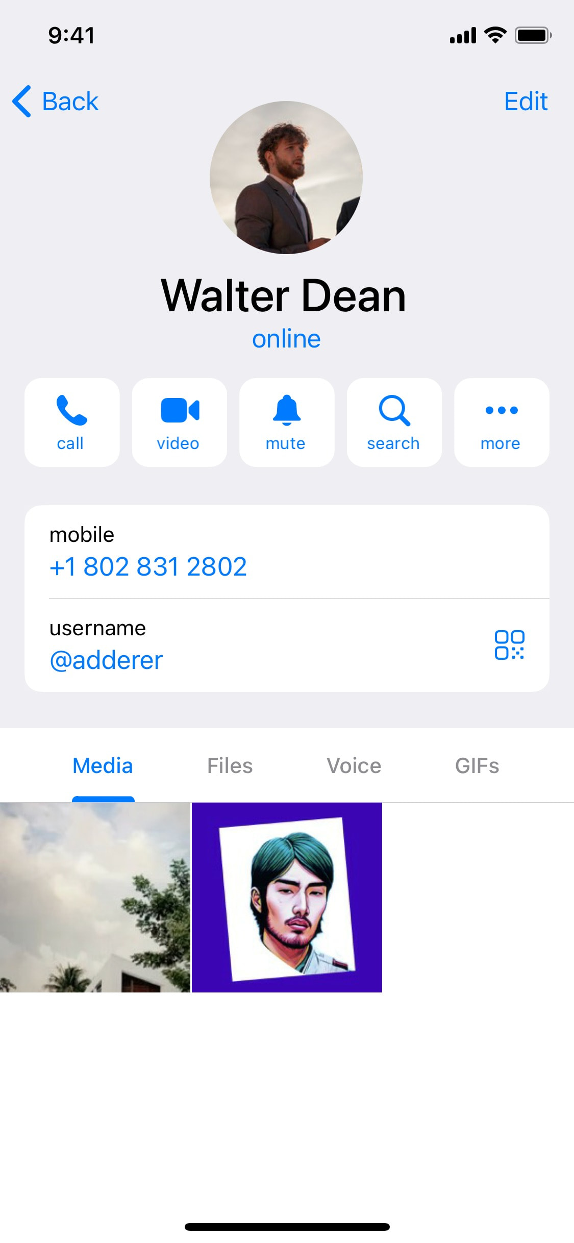 Telegram iOS screen 682