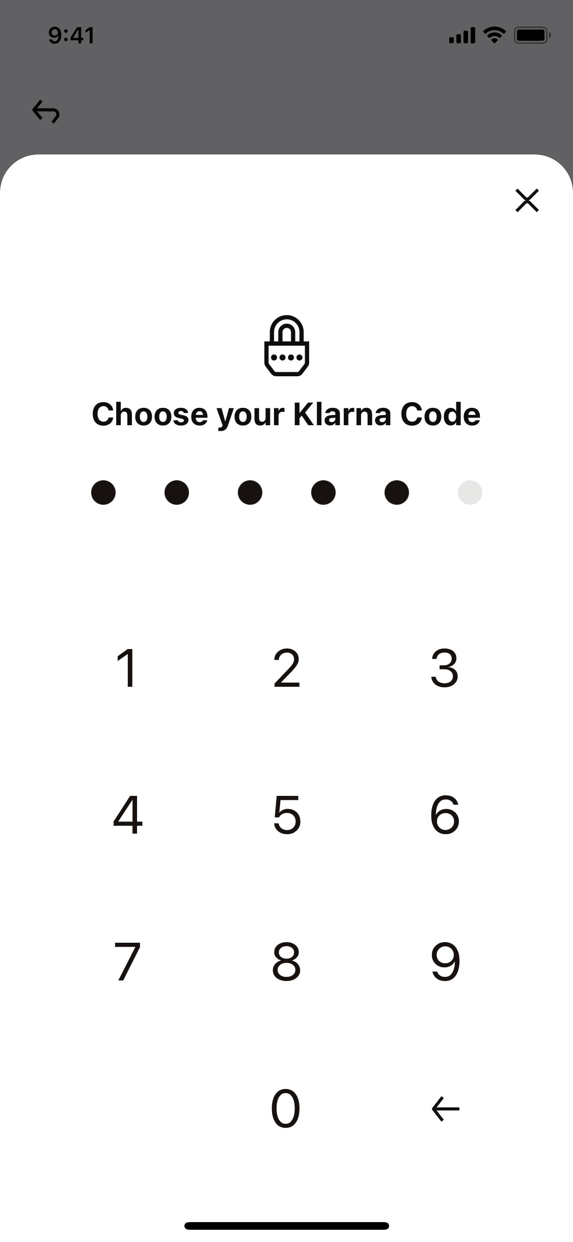 Klarna iOS screen 170