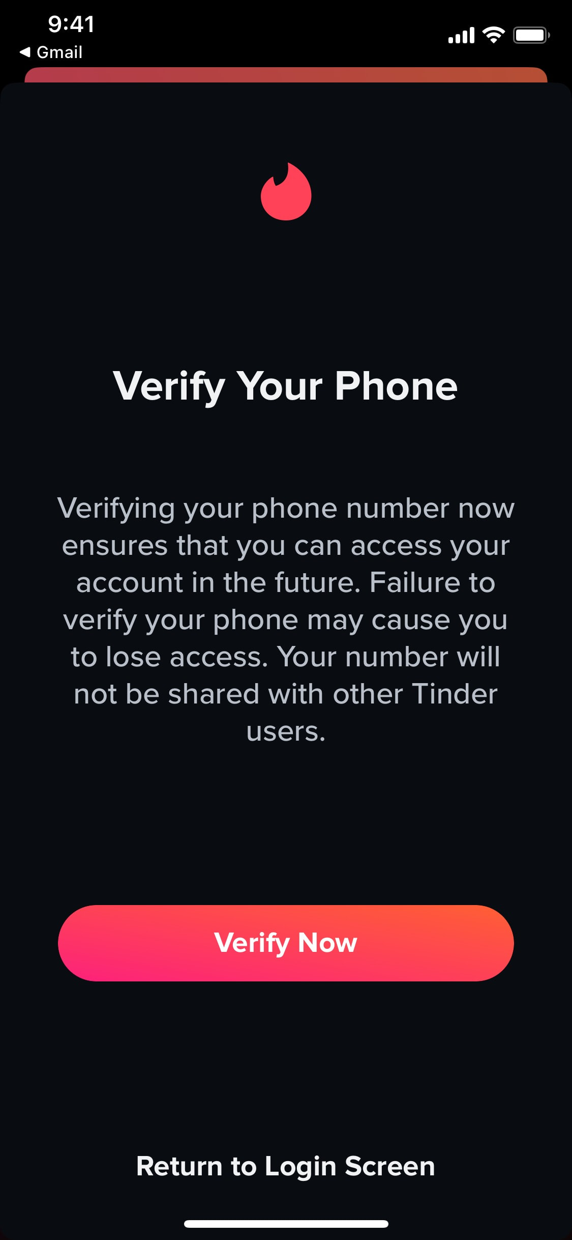 Tinder iOS screen 65