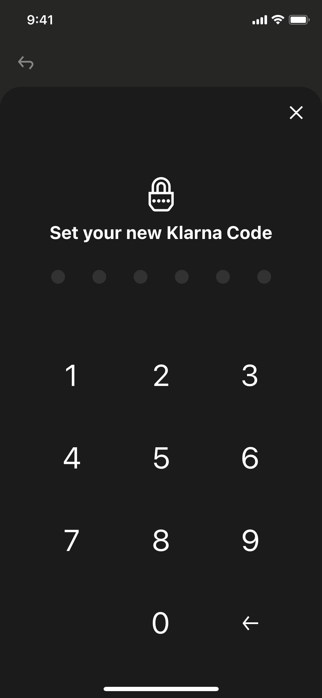 Klarna iOS screen 558