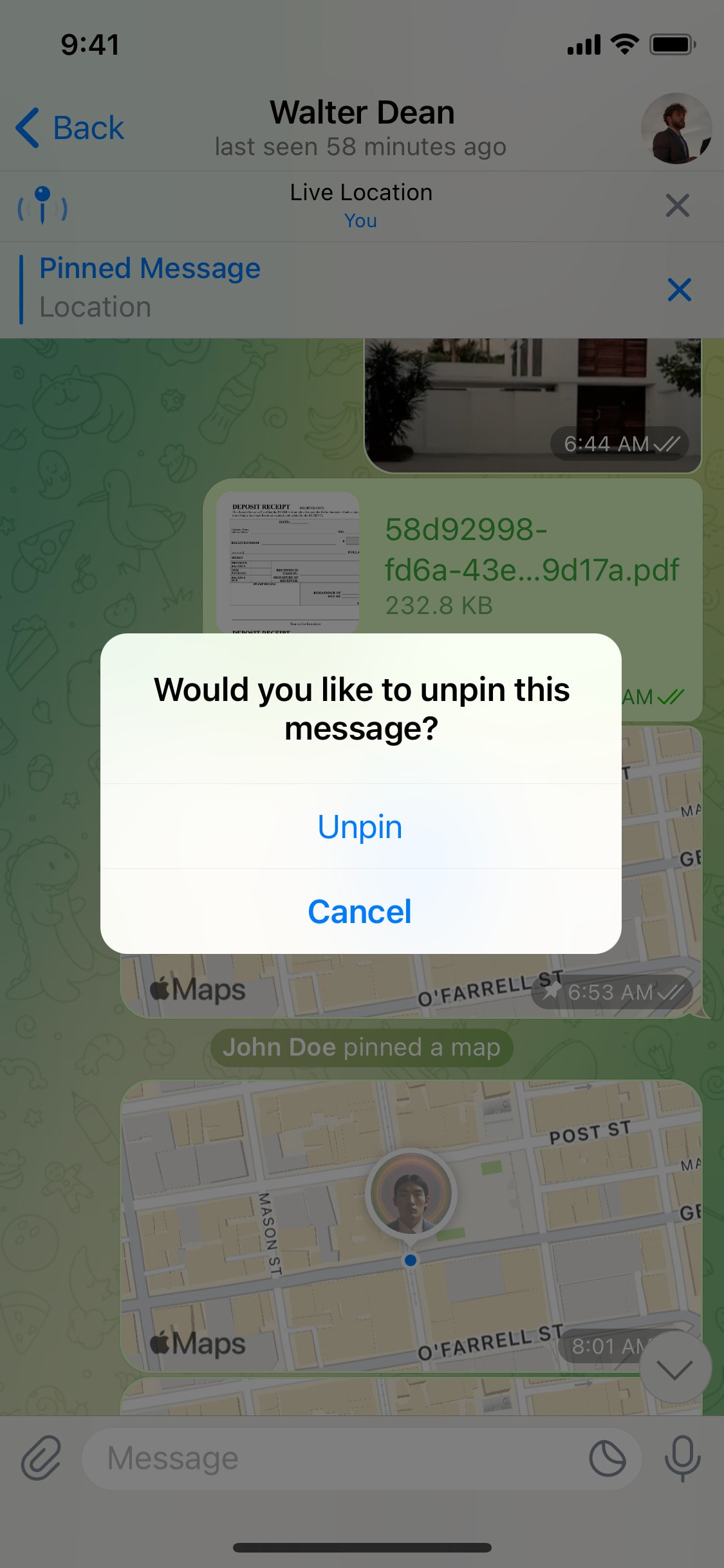 Telegram iOS screen 446
