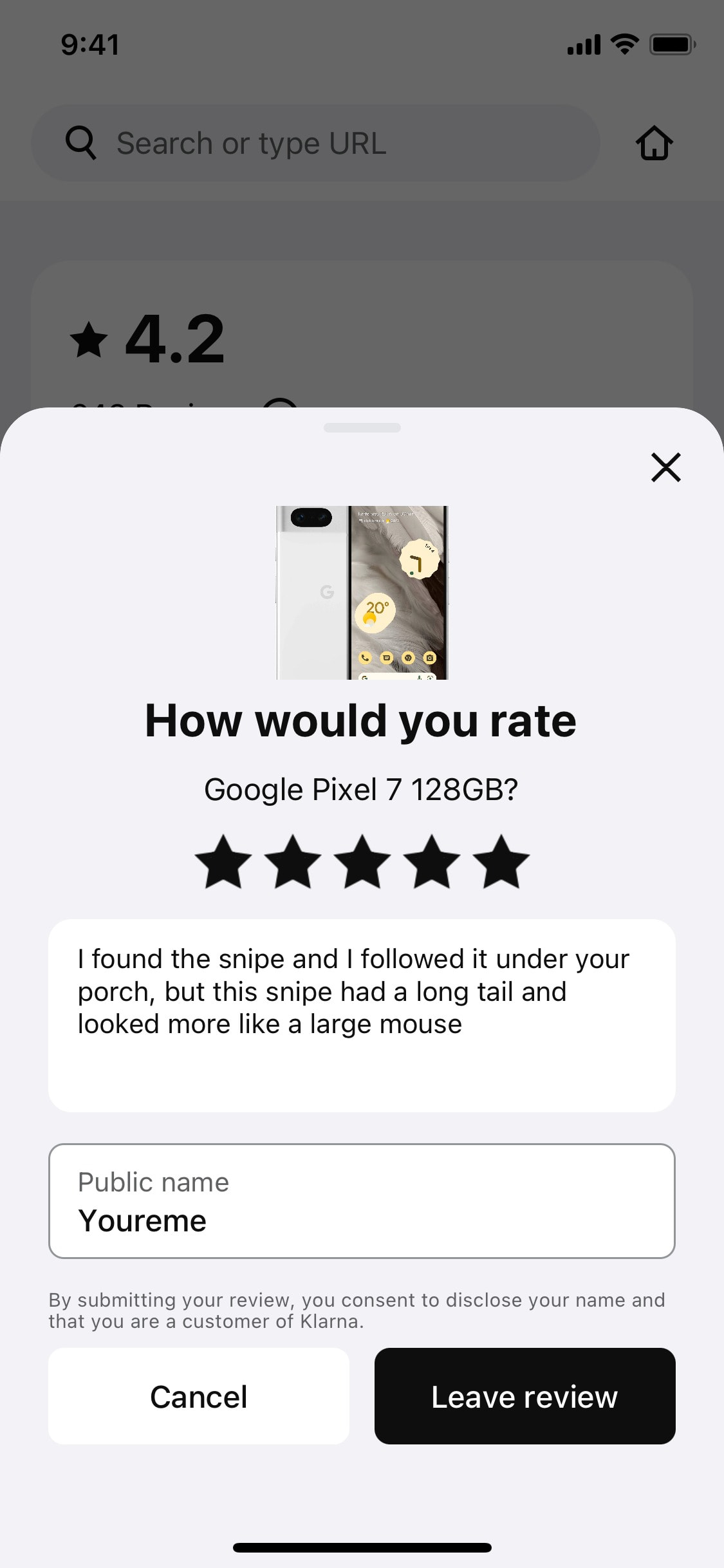 Klarna iOS screen 108