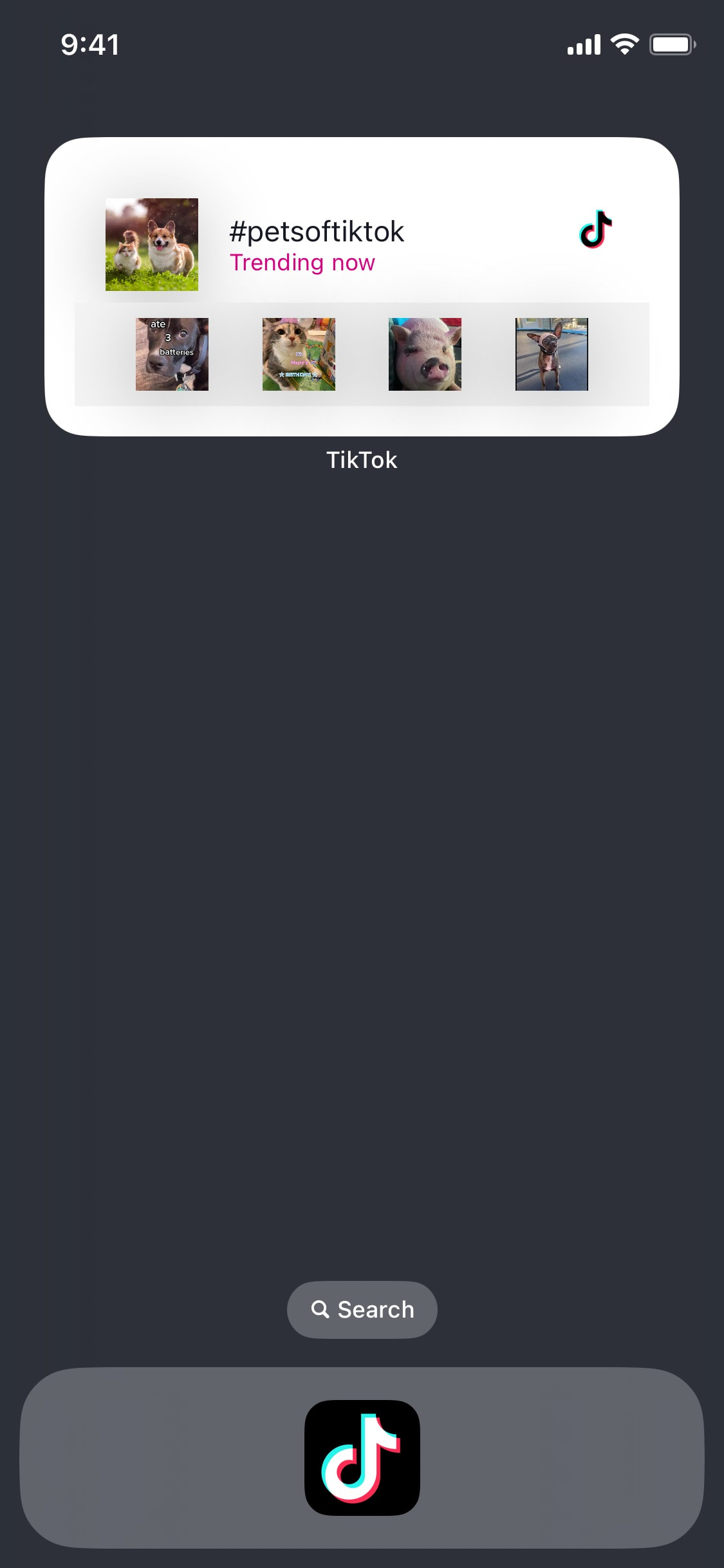 TikTok iOS screen 761