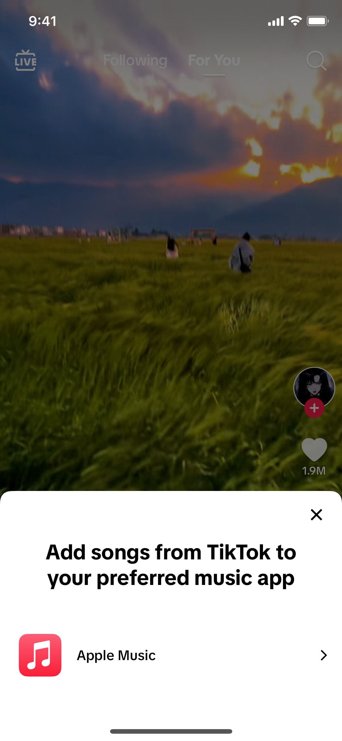 TikTok iOS screen 512