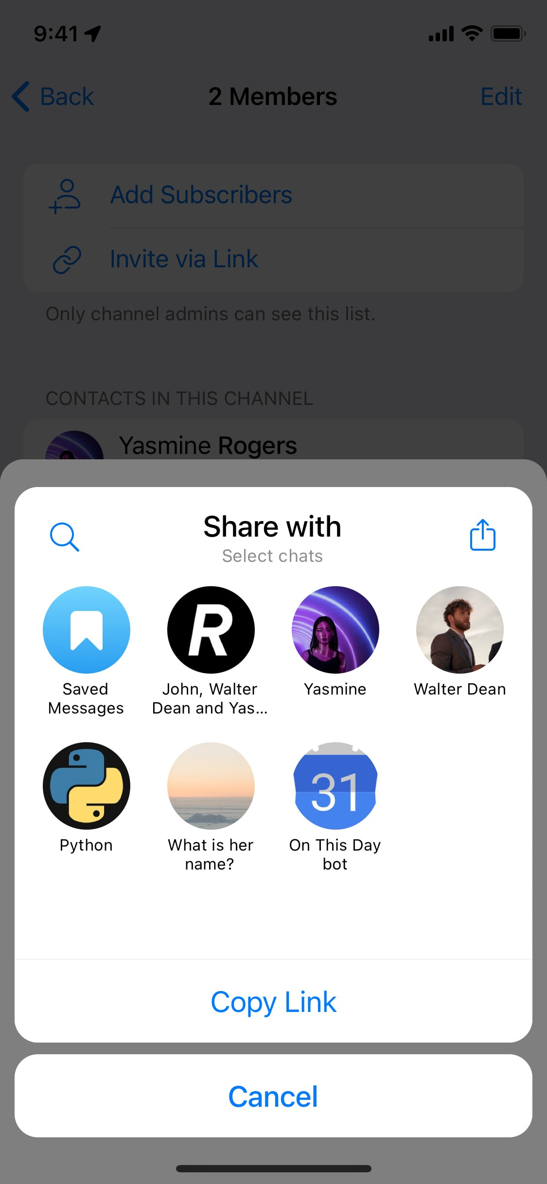 Telegram iOS screen 727