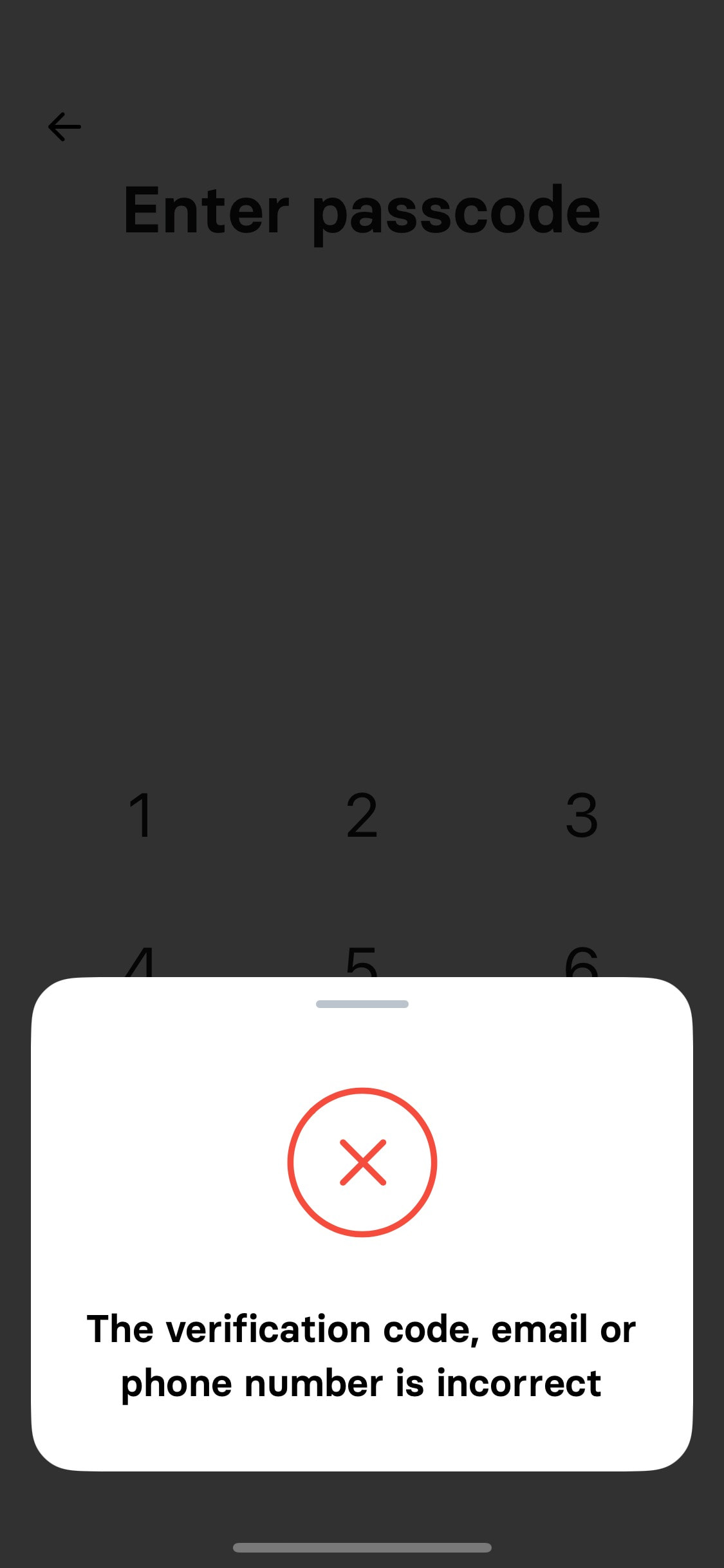 Revolut iOS screen 102
