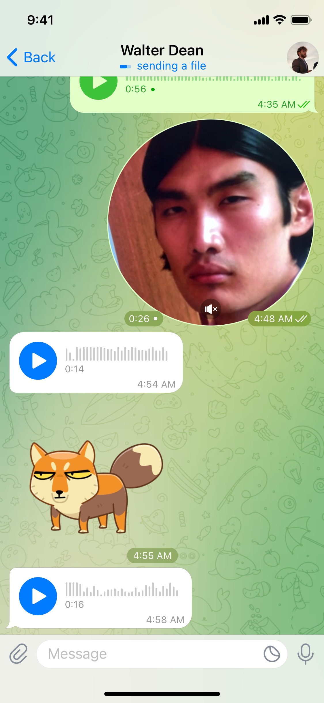 Telegram iOS screen 387