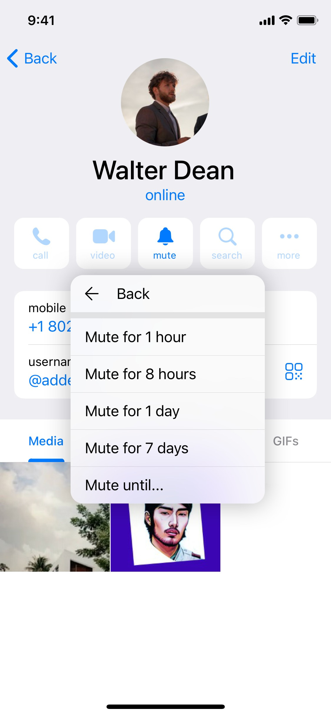 Telegram iOS screen 145