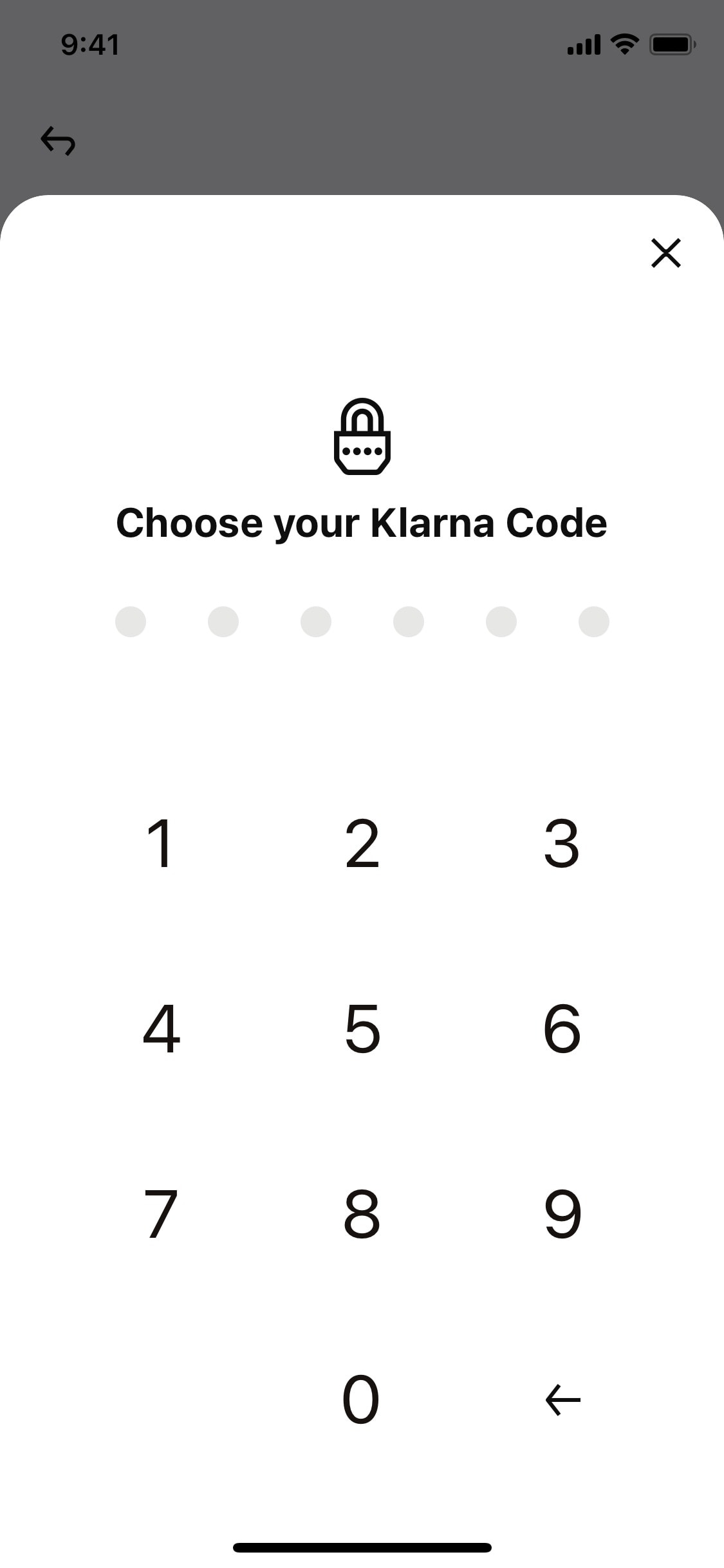 Klarna iOS screen 563