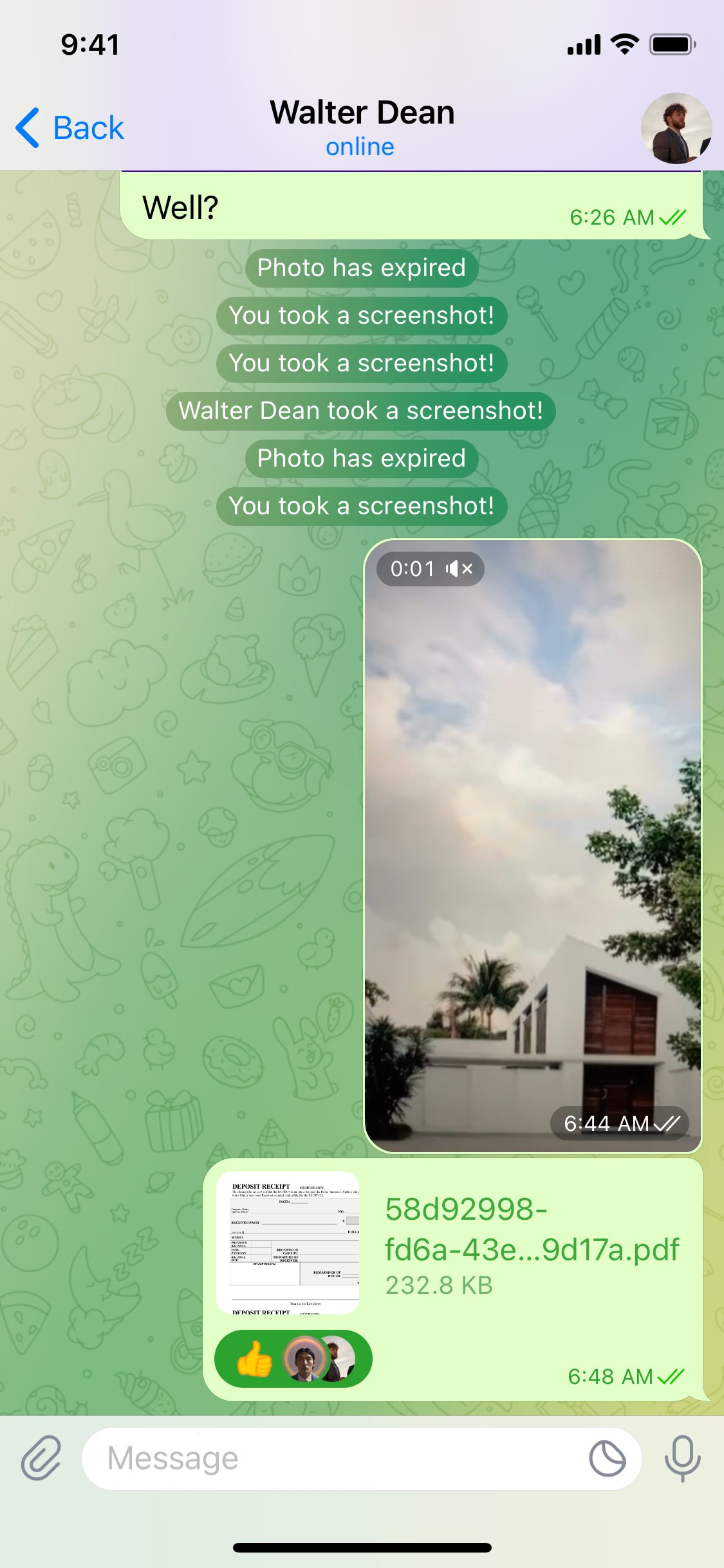 Telegram iOS screen 88
