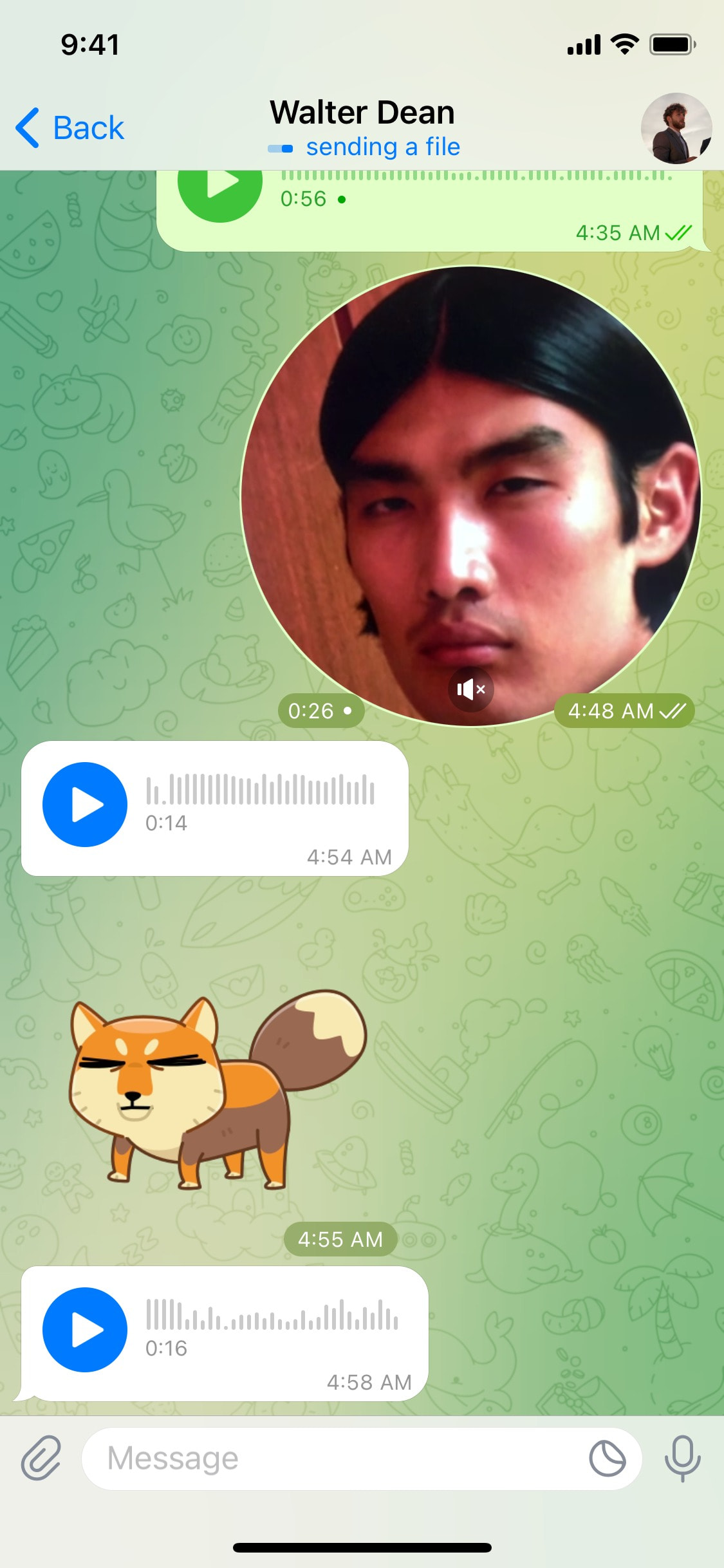 Telegram iOS screen 264