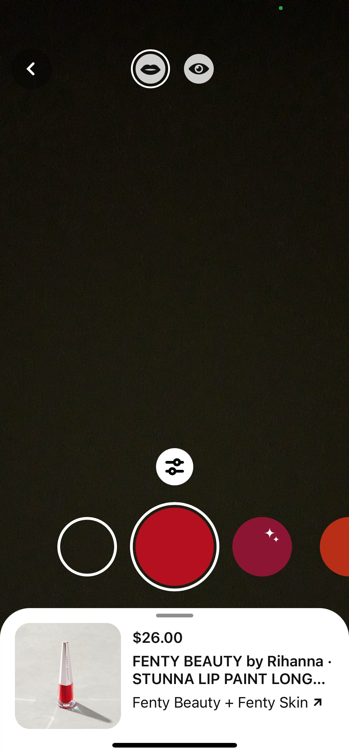 Pinterest iOS screen 18
