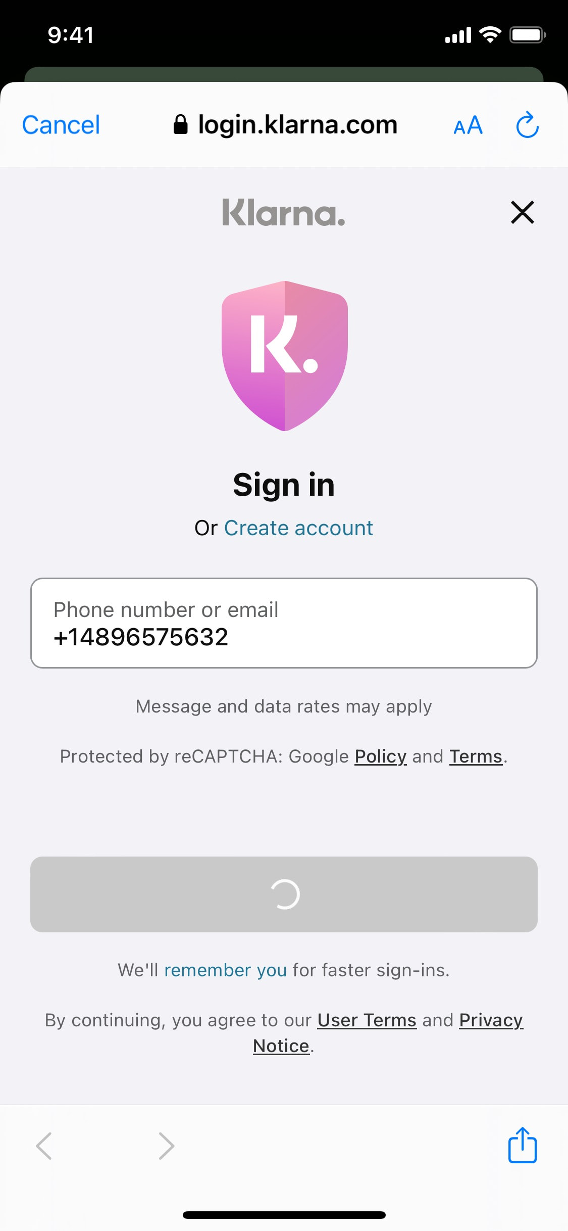 Klarna iOS screen 177