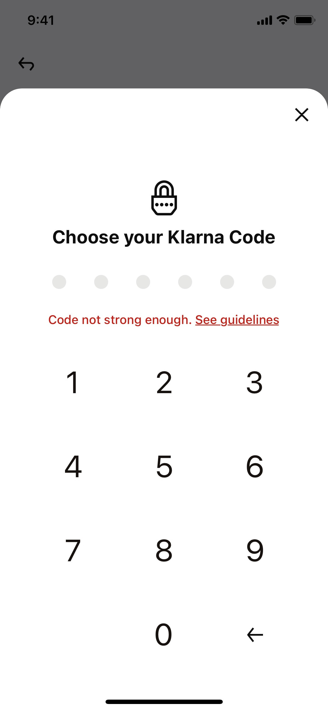 Klarna iOS screen 197