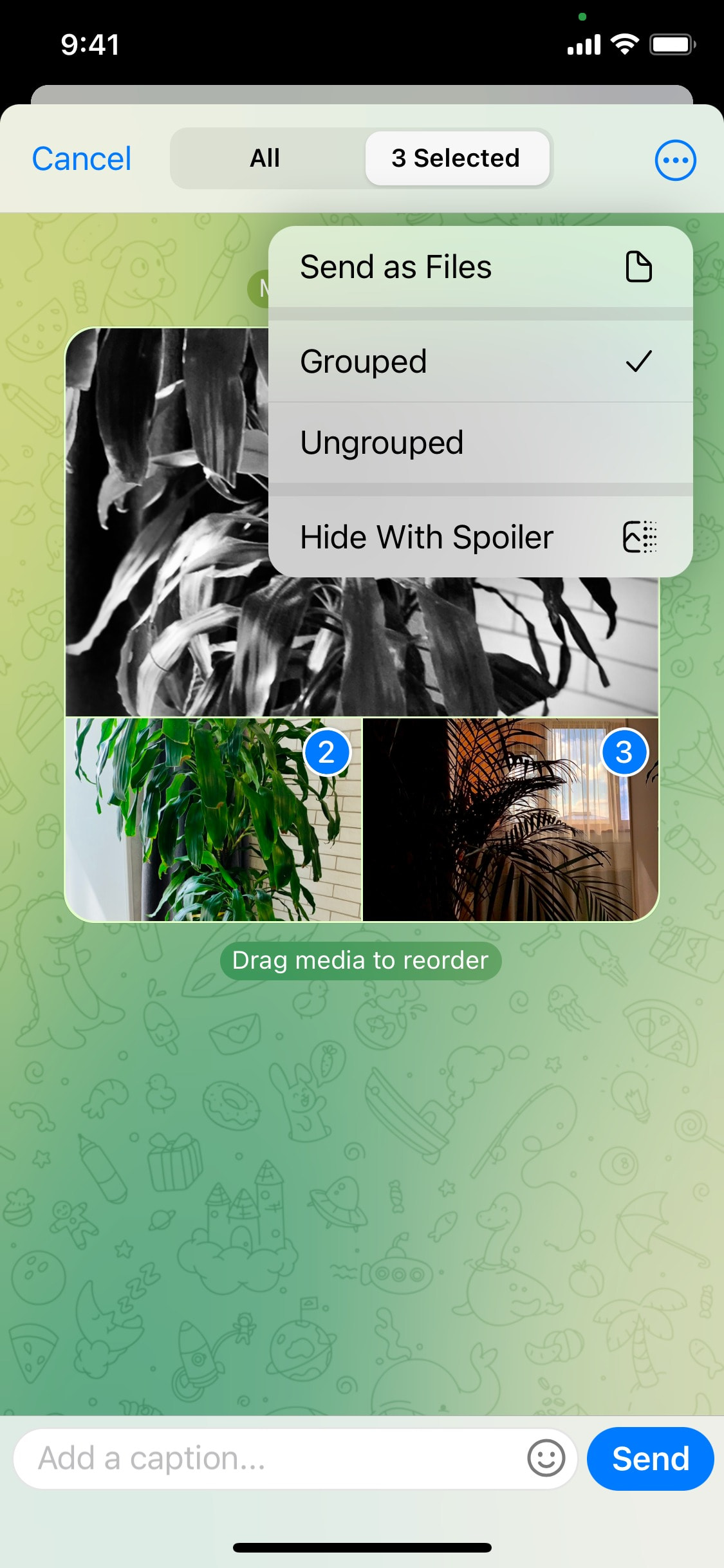 Telegram iOS screen 11