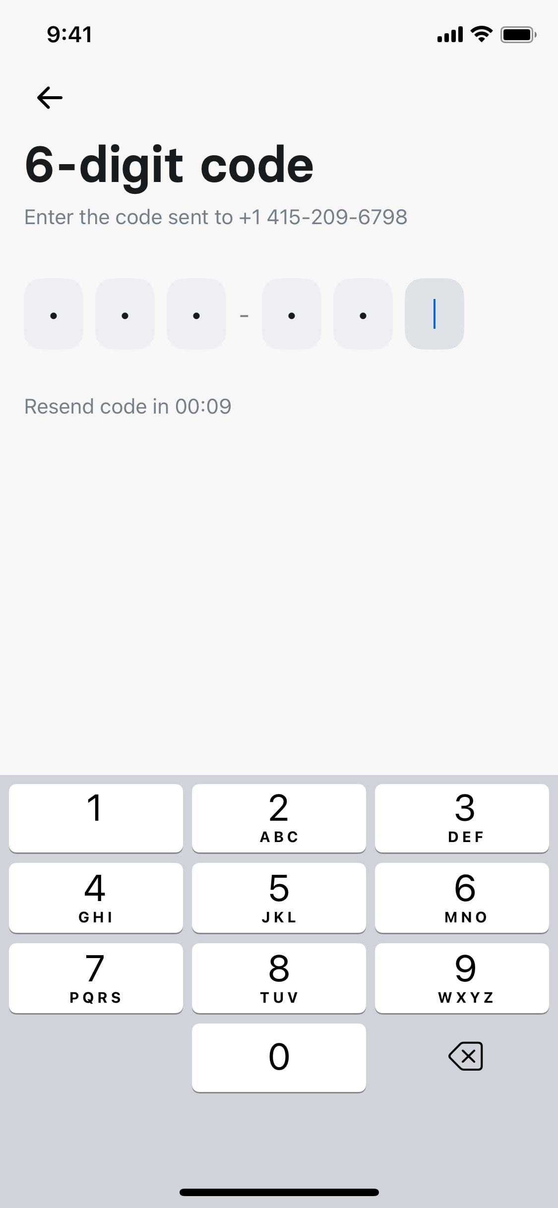 Revolut iOS screen 103