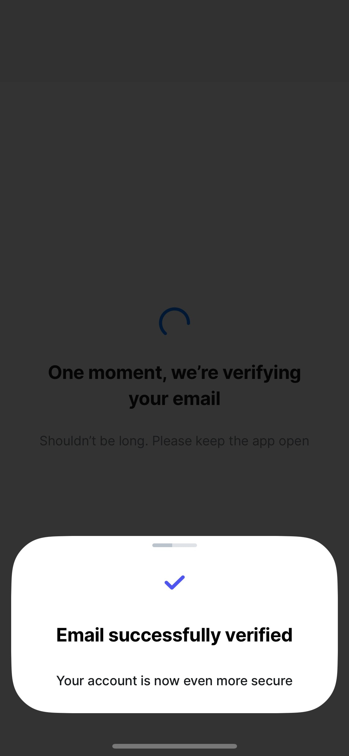 Revolut iOS screen 401